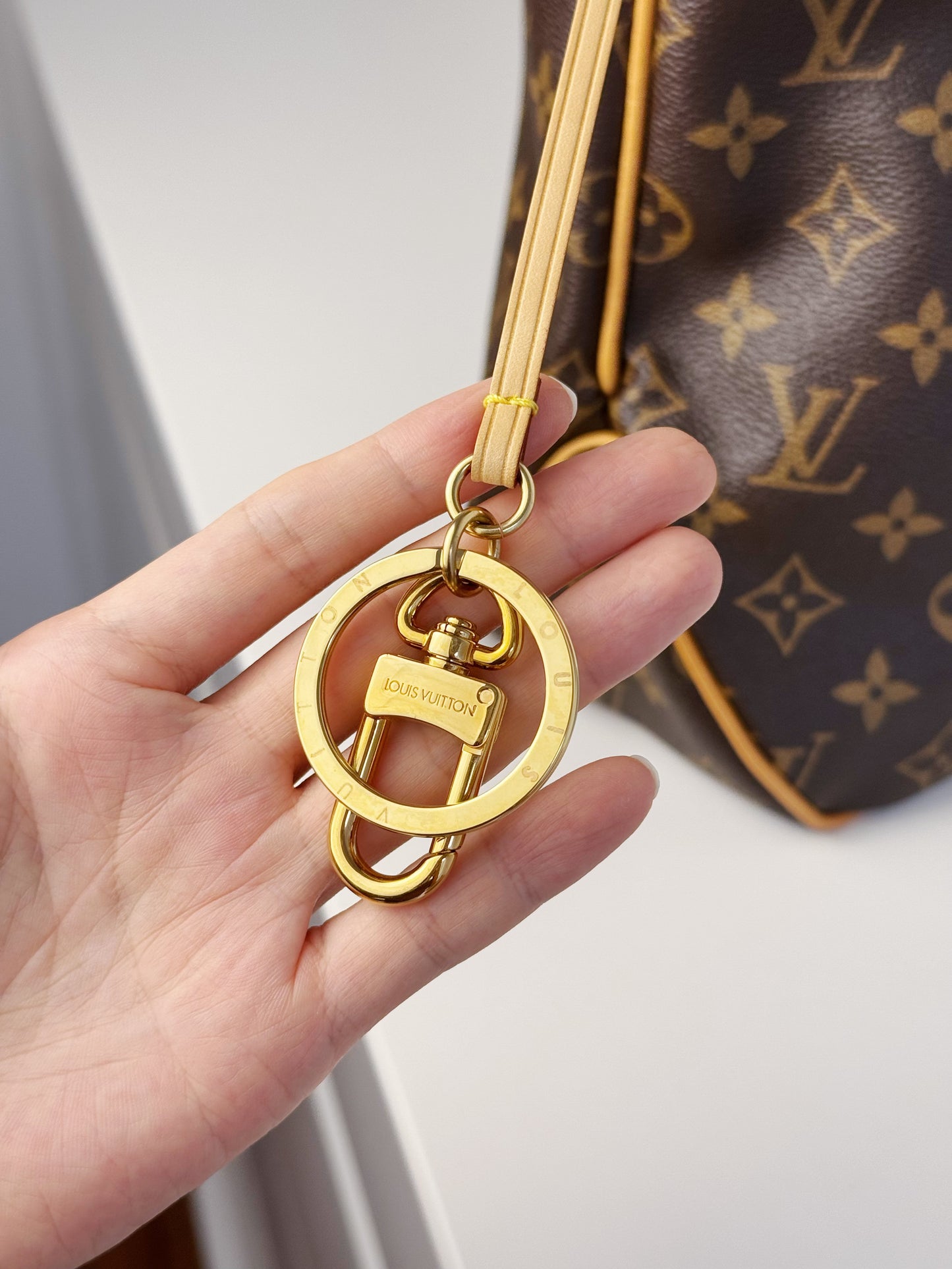 Louis Vuitton Vintage Delightful PM Tote Crossbody Bag