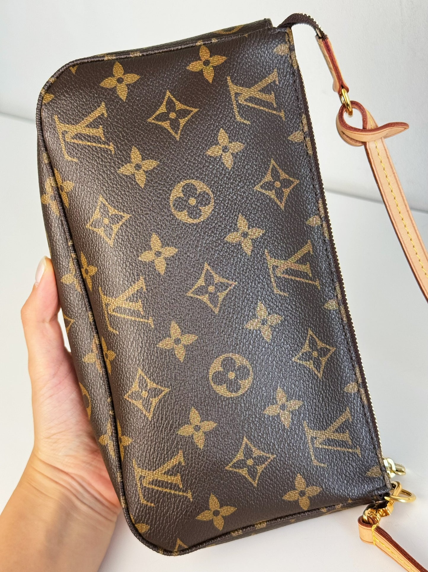 Louis Vuitton Pochette Accessoires Shoulder Crossbody Bag
