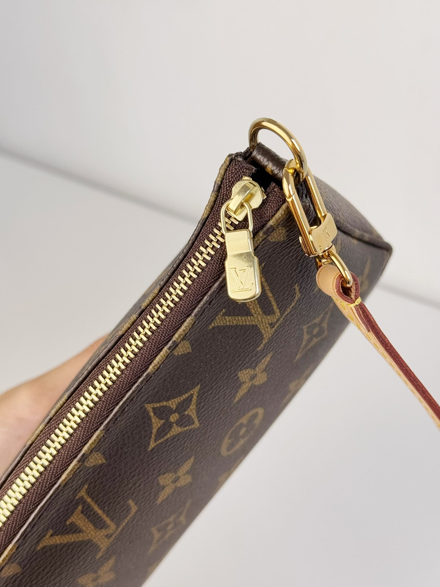 Louis Vuitton Pochette Accessoires Shoulder Crossbody Bag