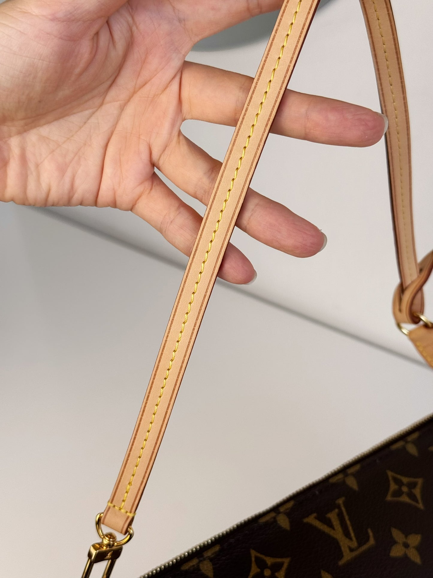 Louis Vuitton Pochette Accessoires Shoulder Crossbody Bag