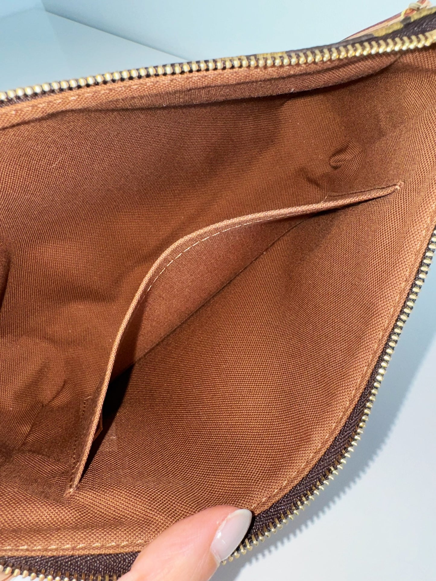 Louis Vuitton Pochette Accessoires Shoulder Crossbody Bag