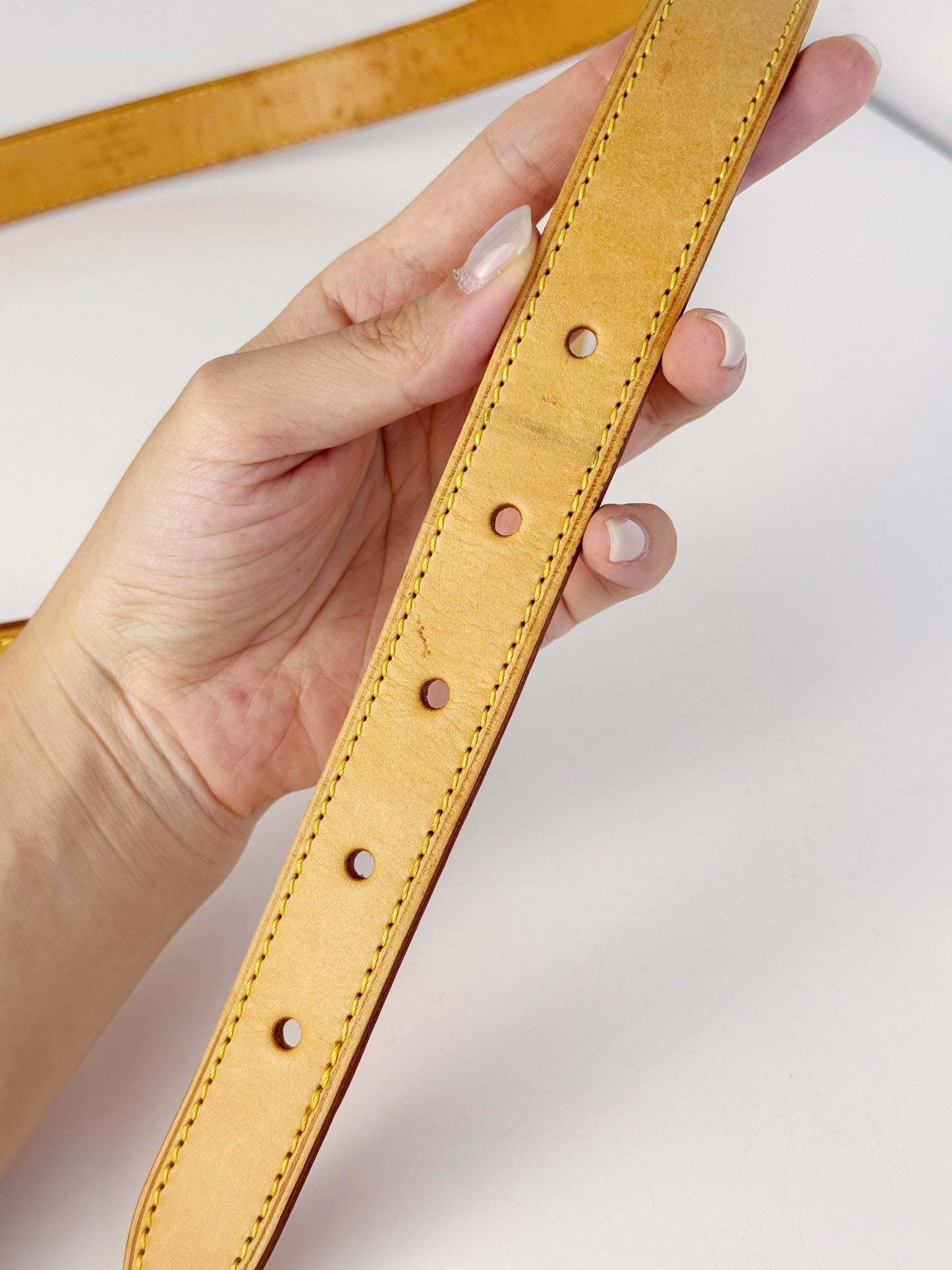 Louis Vuitton Viva Cite MM Shoulder Crossbody Bag