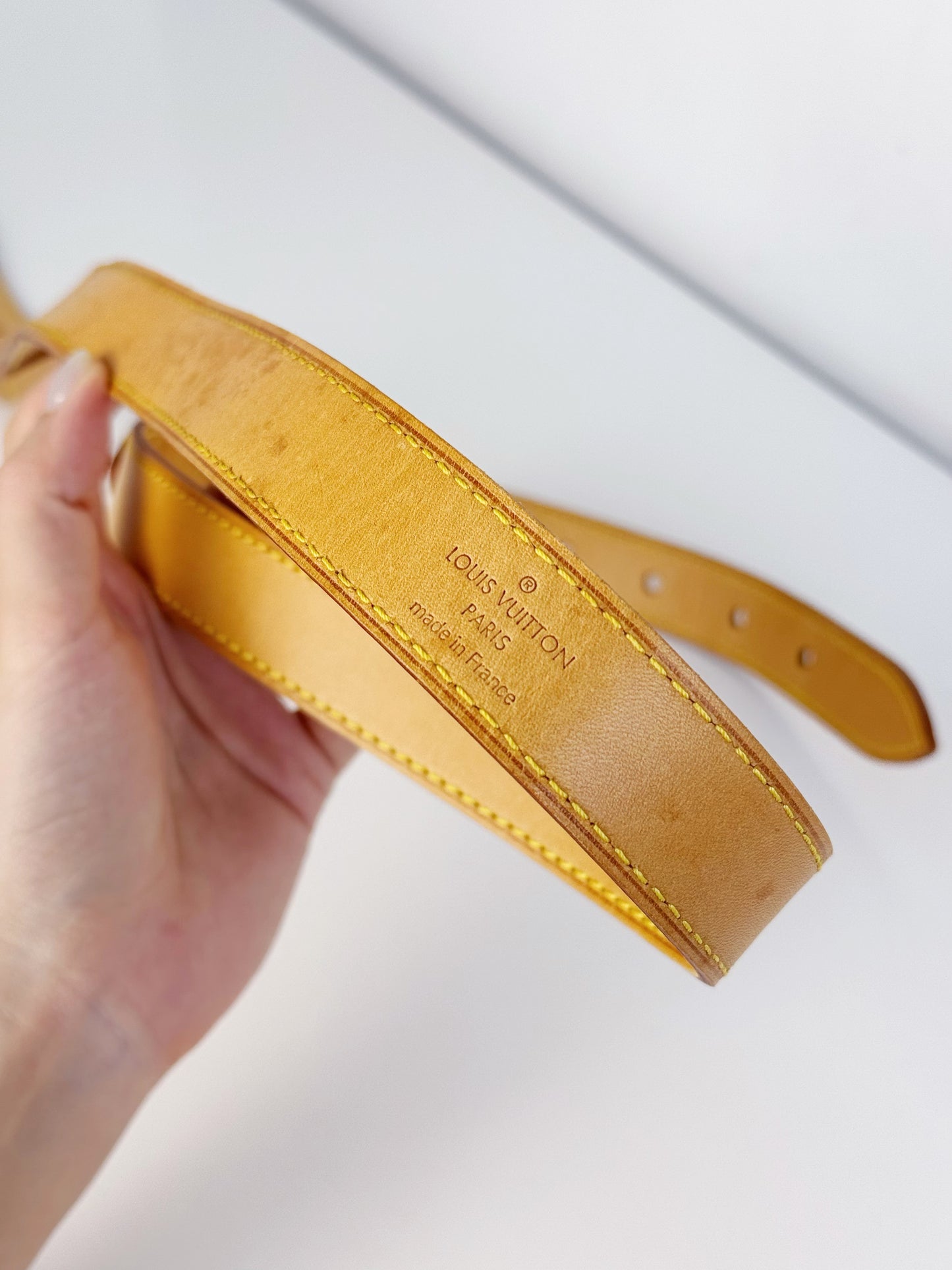 Louis Vuitton Viva Cite MM Shoulder Crossbody Bag