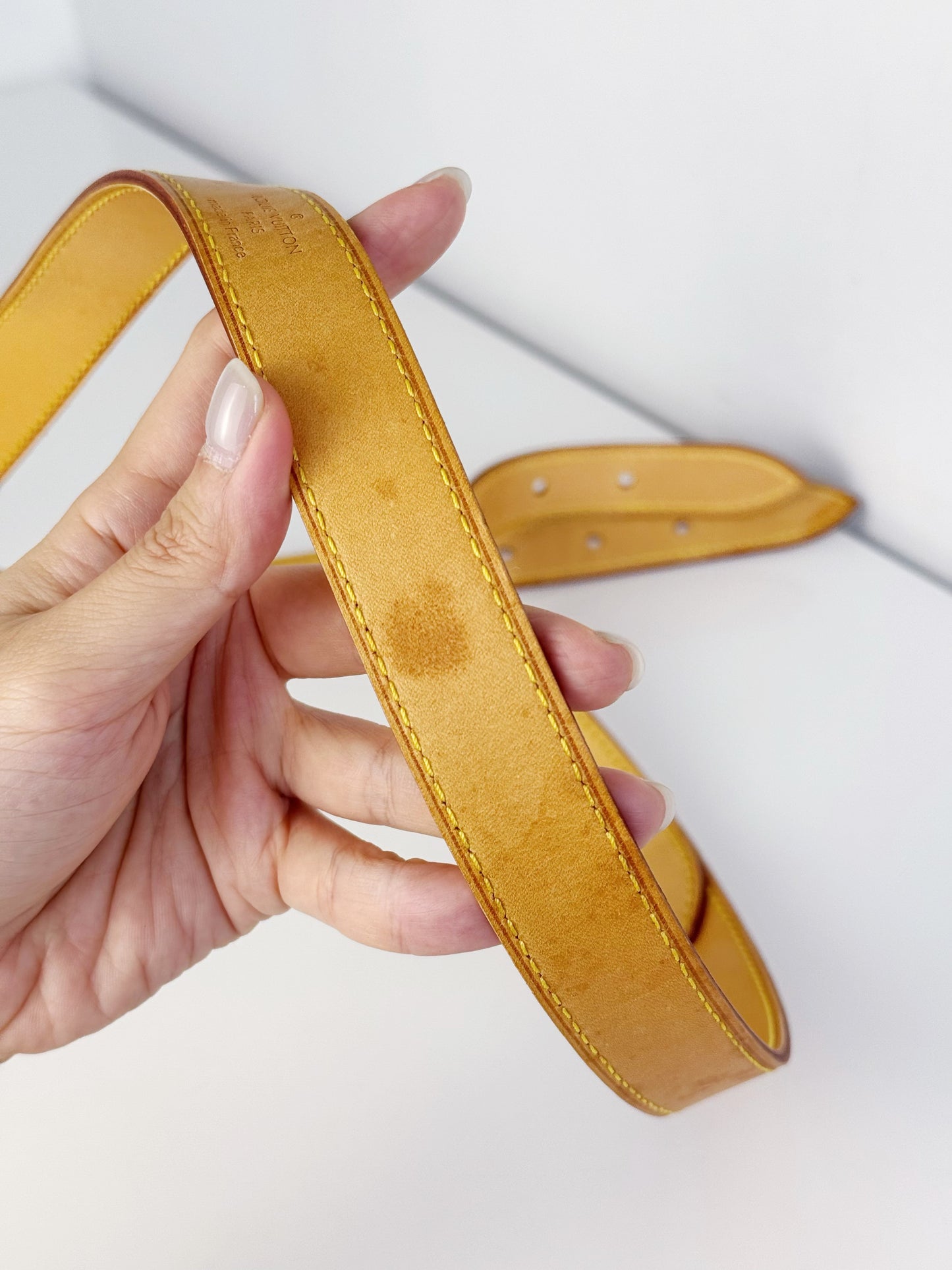 Louis Vuitton Viva Cite MM Shoulder Crossbody Bag