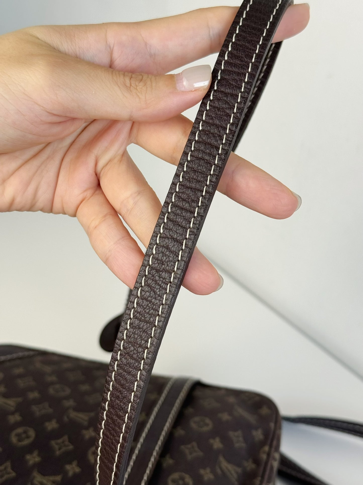 Louis Vuitton Denim Danube Crossbody Bag