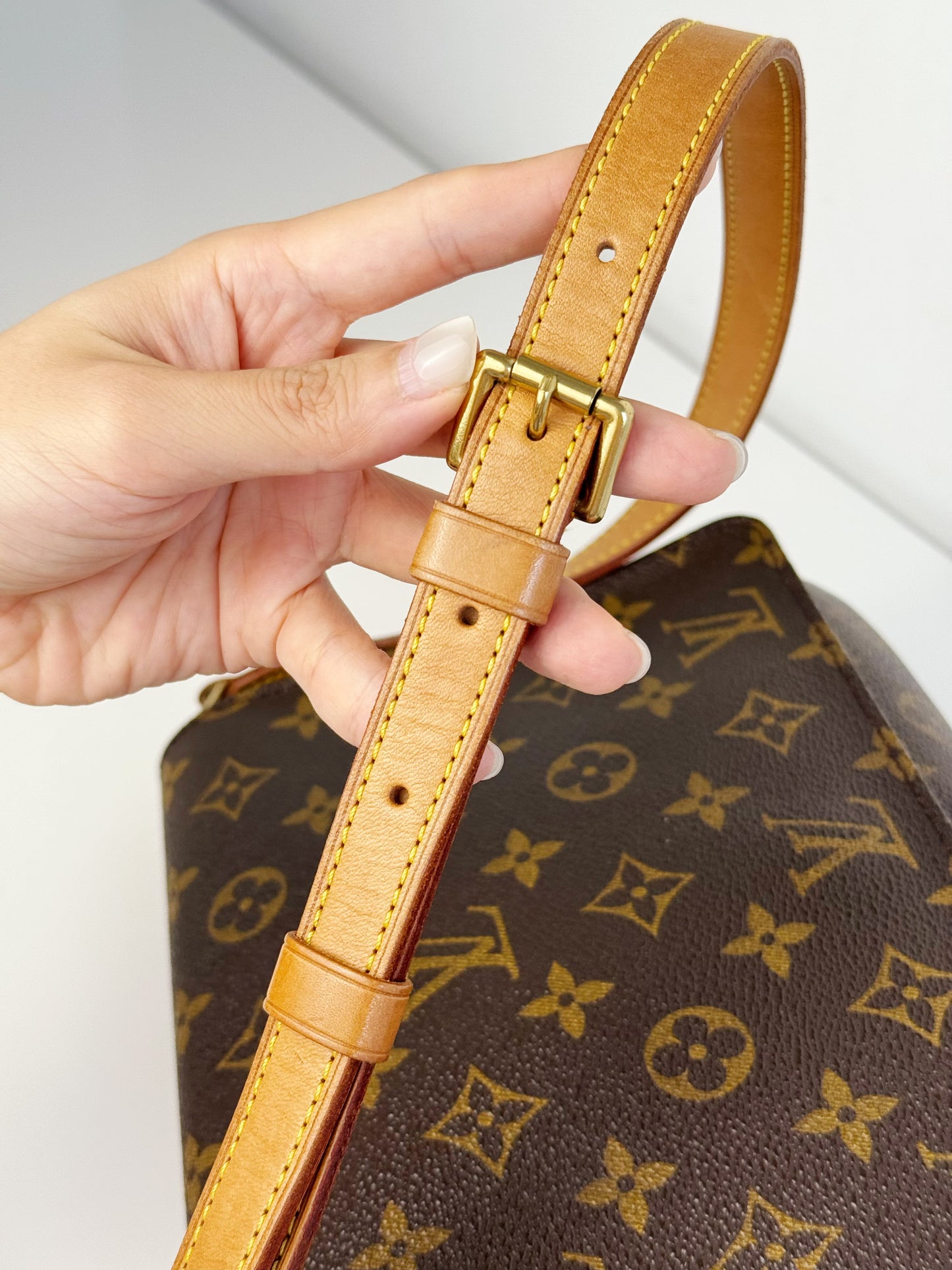 Louis Vuitton Musette Tango Shoulder Crossbody Bag