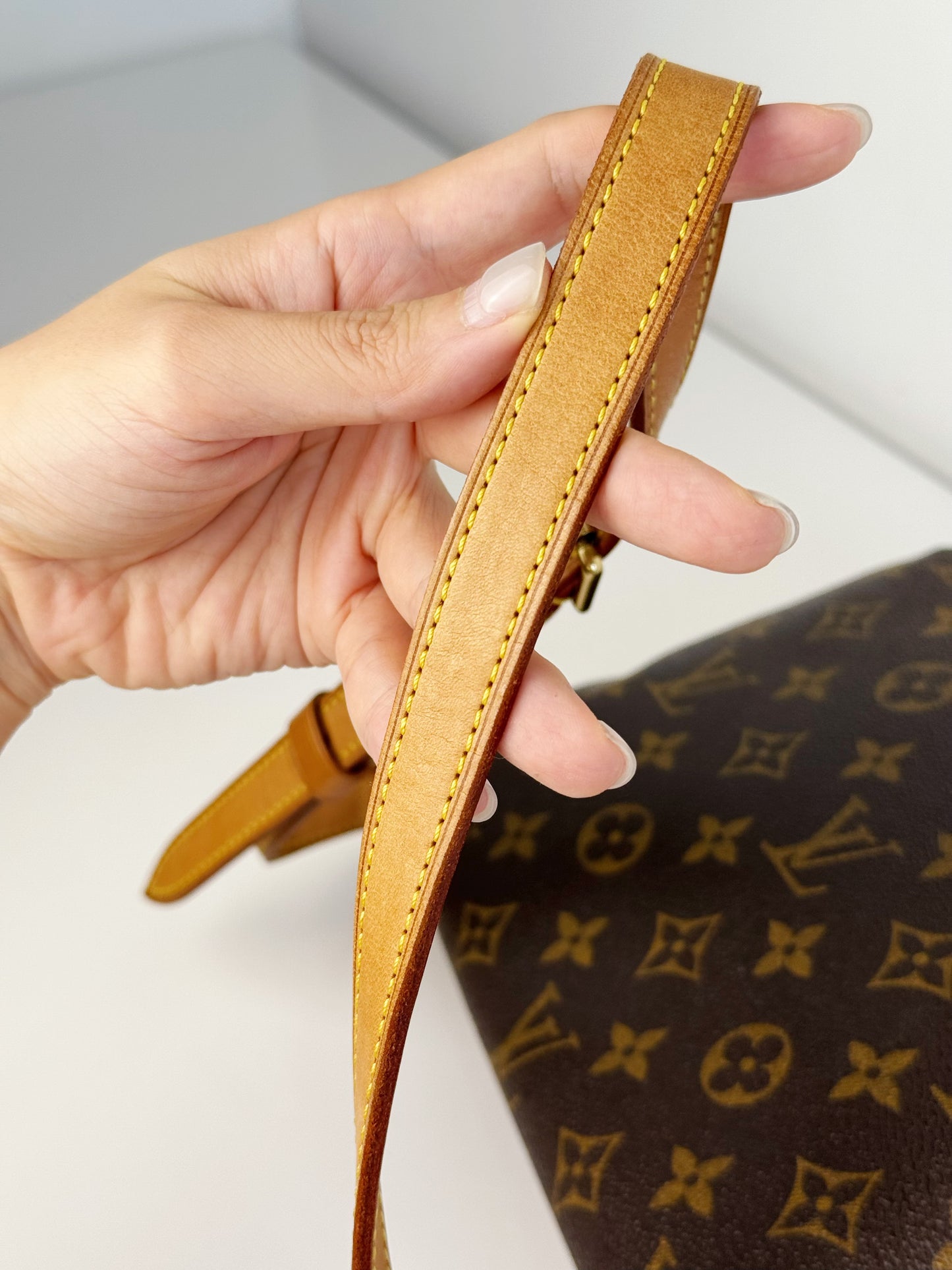 Louis Vuitton Musette Tango Shoulder Crossbody Bag