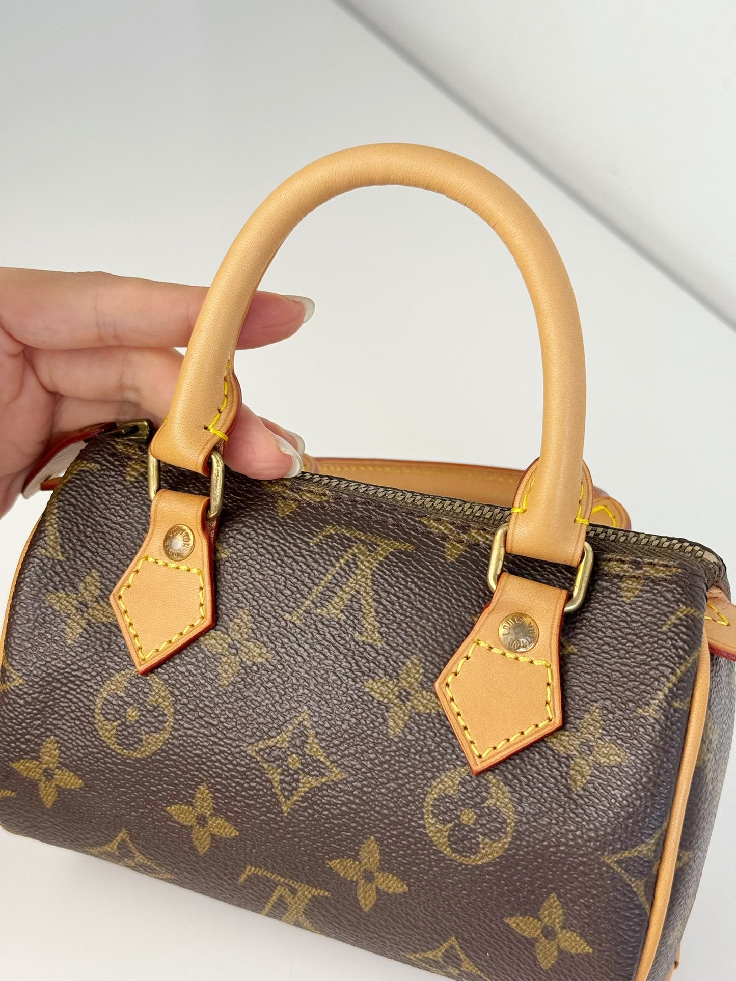 Louis Vuitton Vintage Mini Speedy Handbag Crossbody Bag
