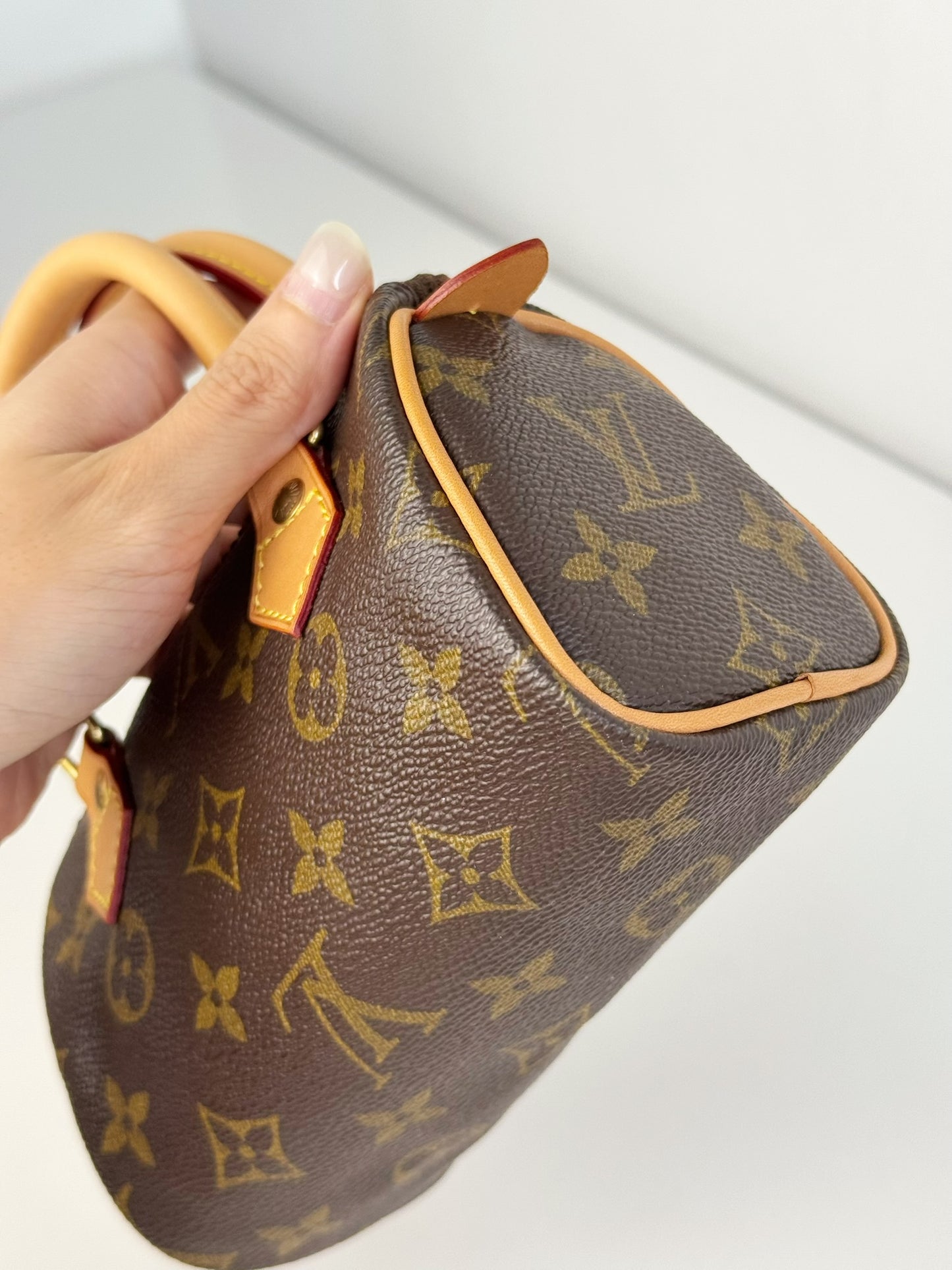 Louis Vuitton Vintage Mini Speedy Handbag Crossbody Bag