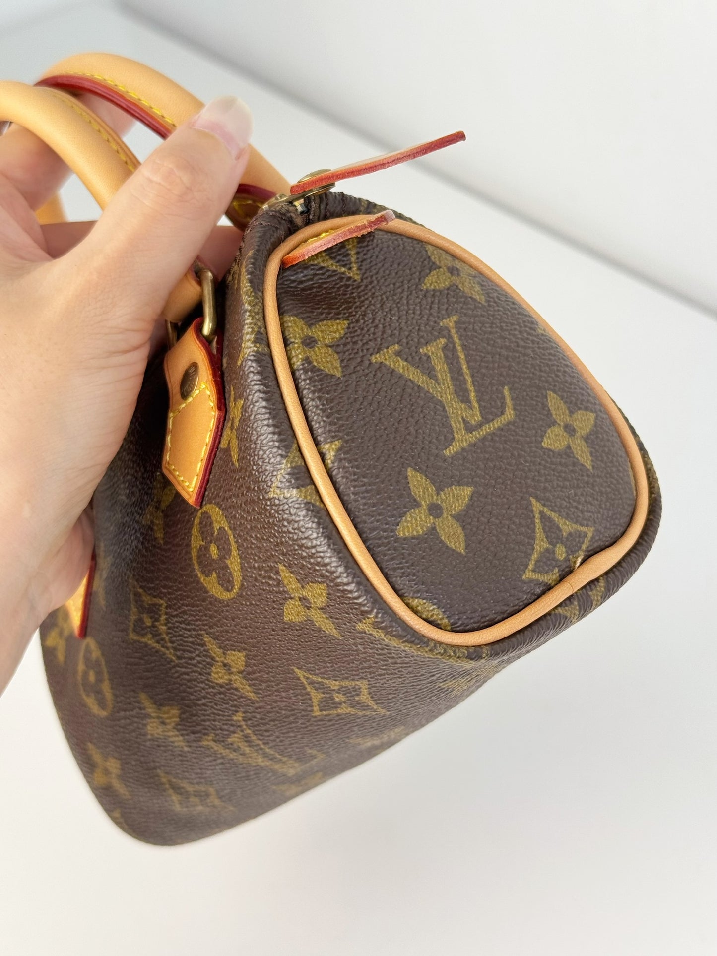Louis Vuitton Vintage Mini Speedy Handbag Crossbody Bag