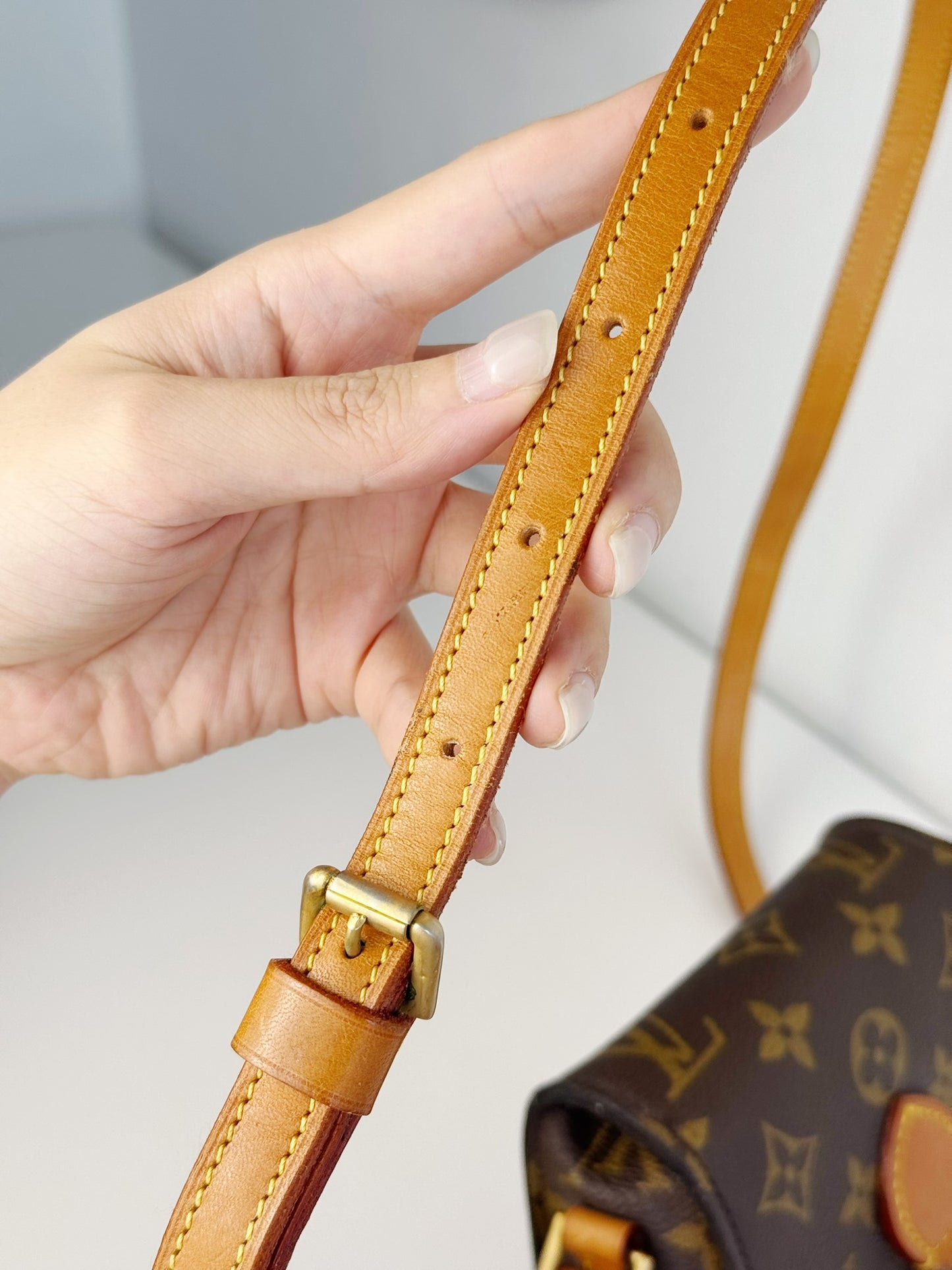 Louis Vuitton Vintage Mini Saint Cloud Crossbody Bag