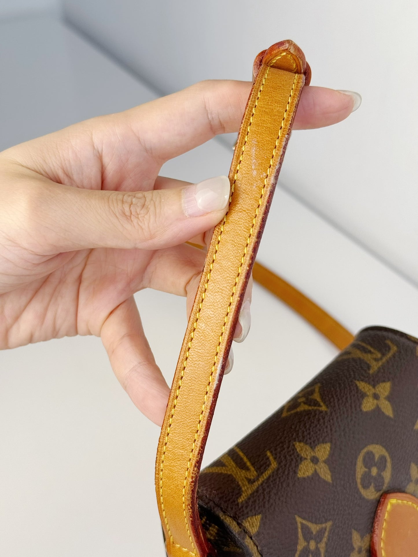 Louis Vuitton Vintage Mini Saint Cloud Crossbody Bag
