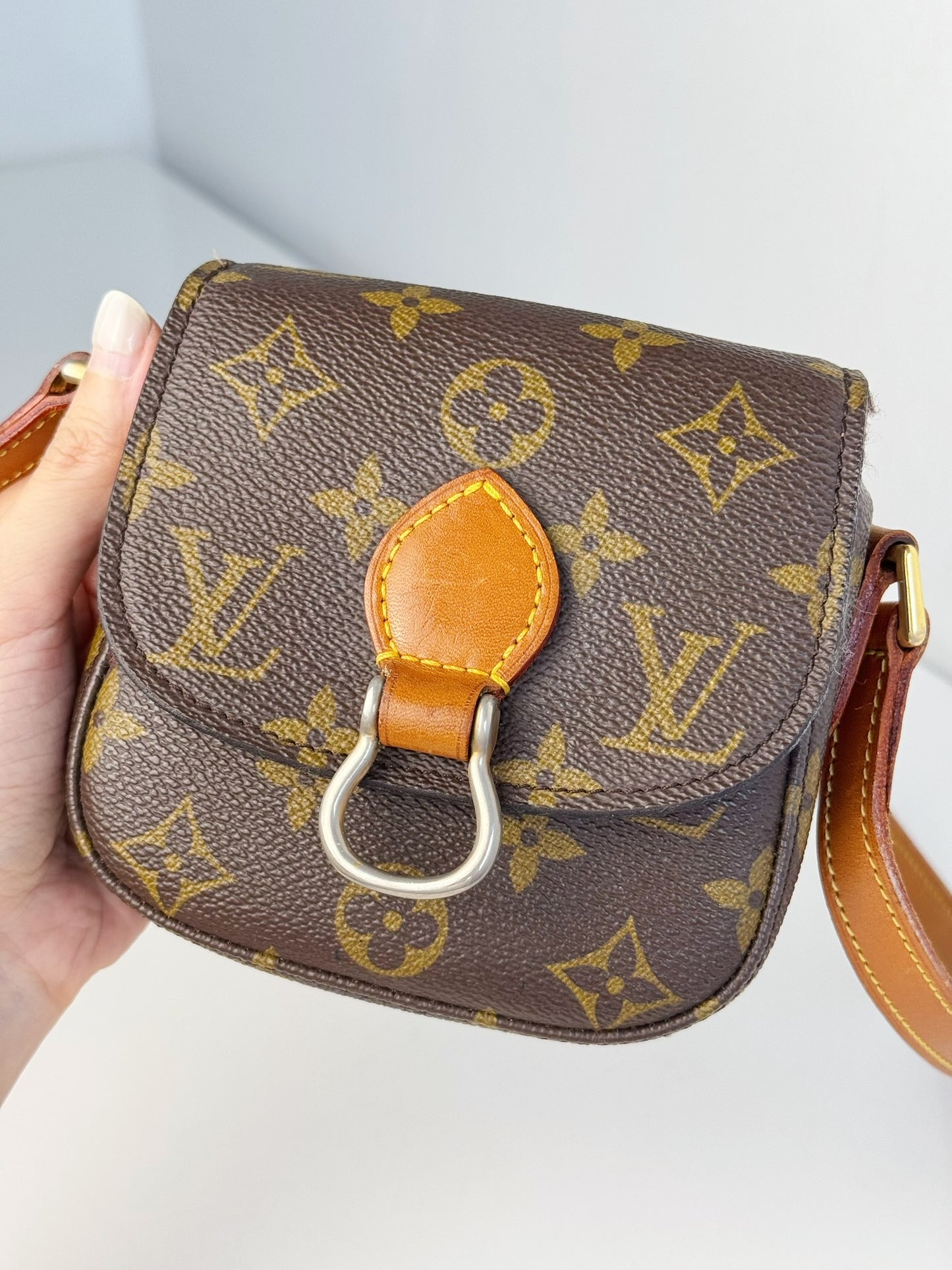 Louis Vuitton Vintage Mini Saint Cloud Crossbody Bag