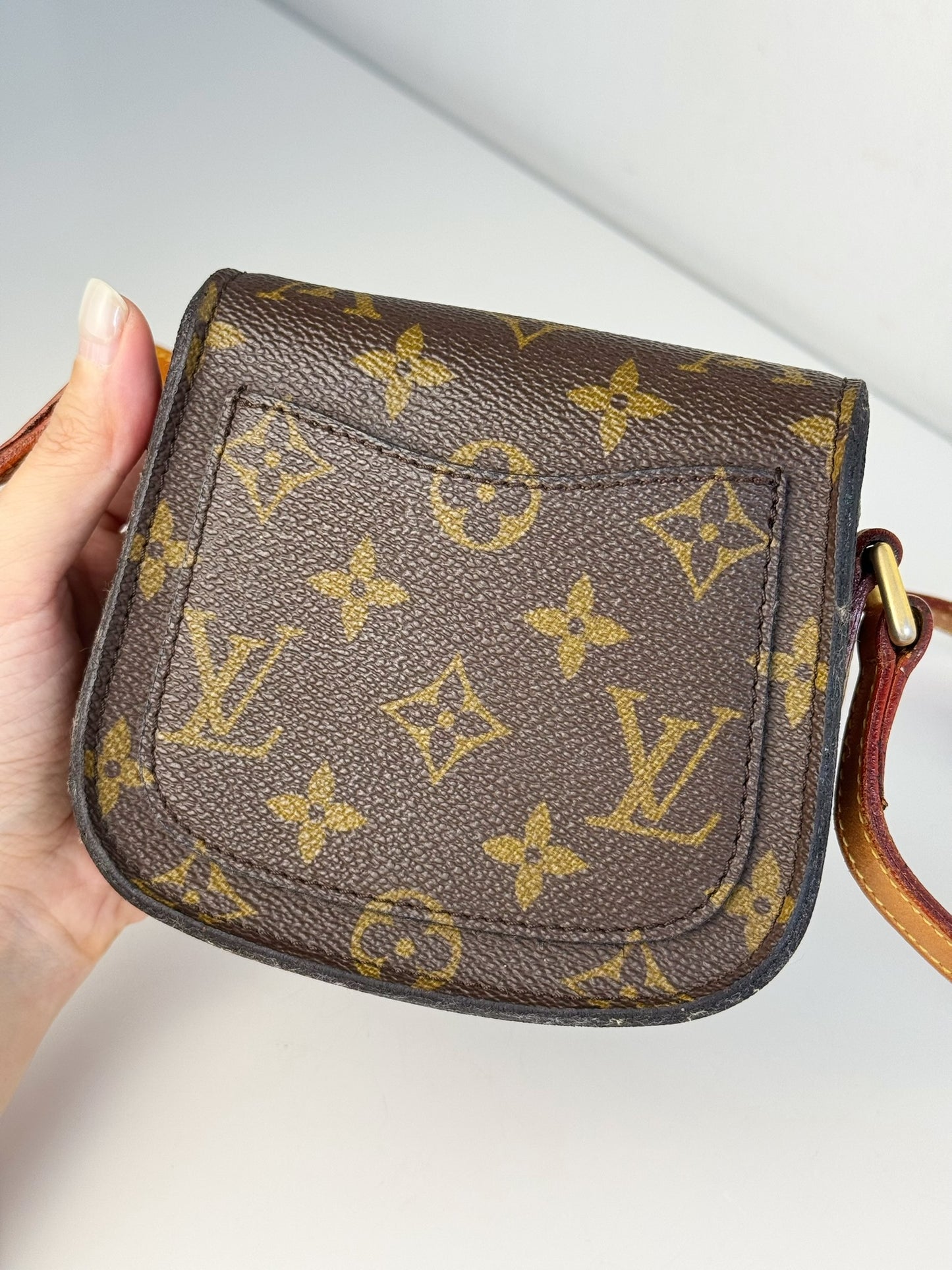 Louis Vuitton Vintage Mini Saint Cloud Crossbody Bag