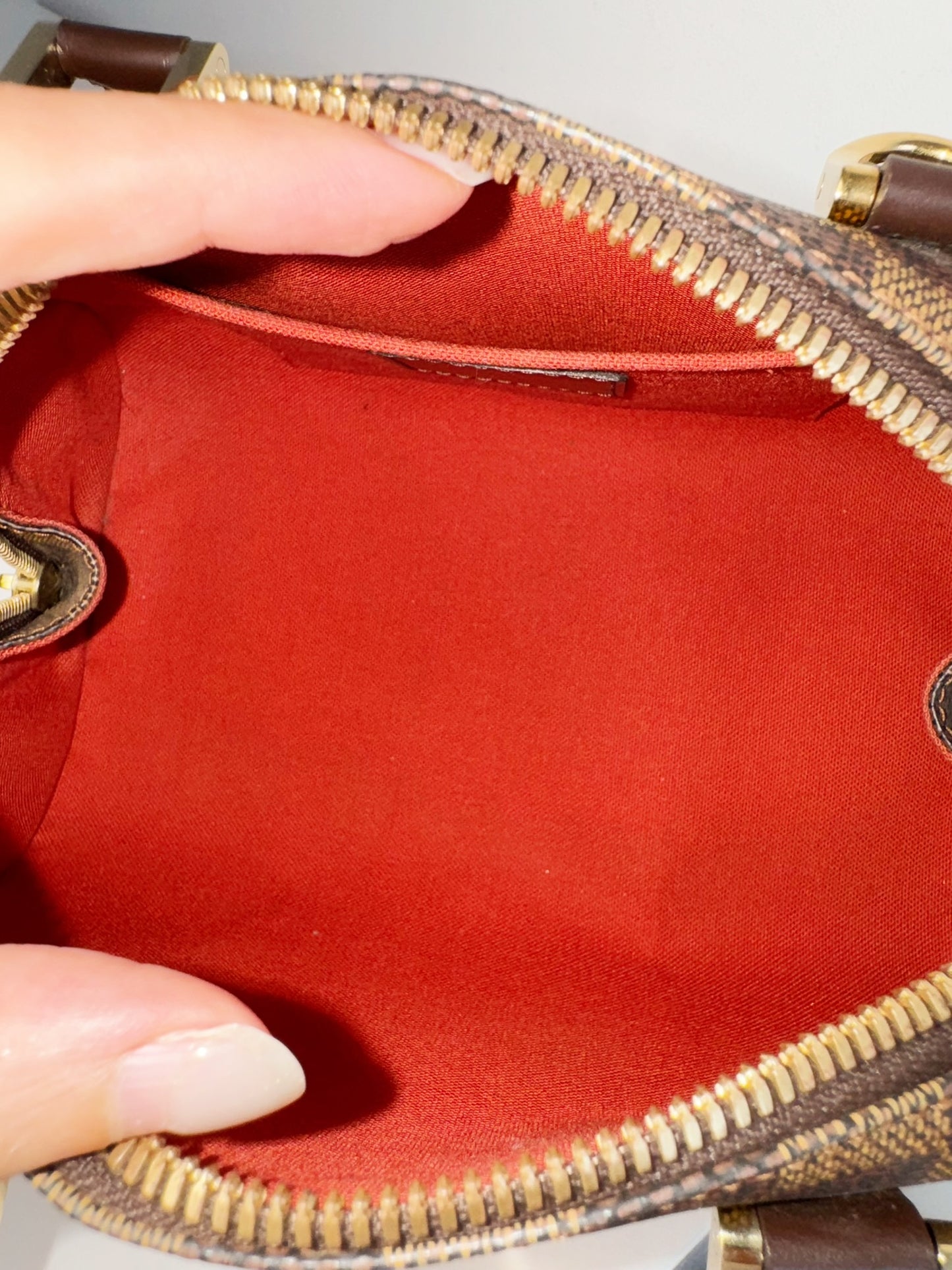 Louis Vuitton Vintage Damier Ribera Mini Handbag Crossbody Bag