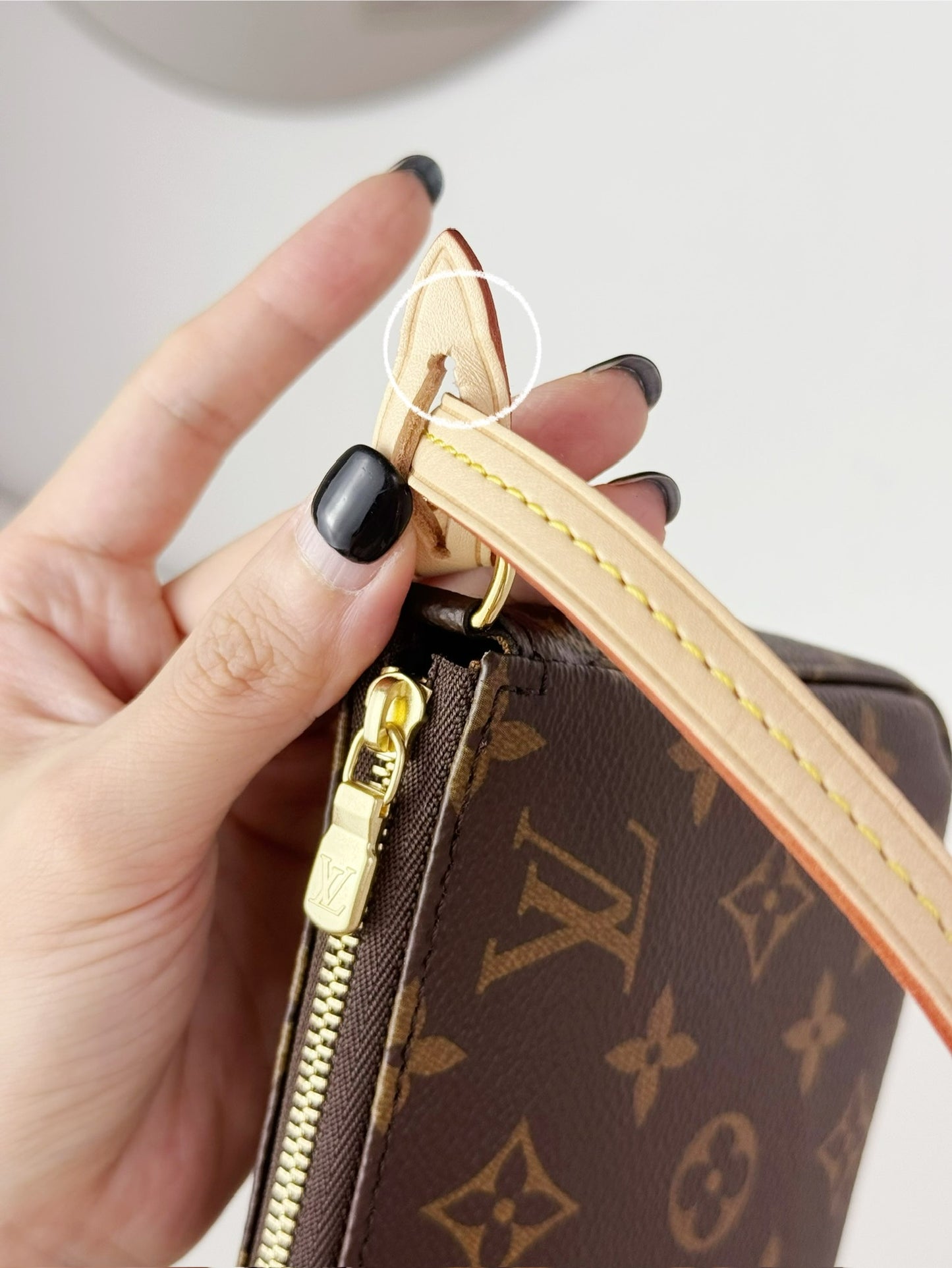 Louis Vuitton Pochette Accessoires Shoulder Crossbody Bag (RFID)