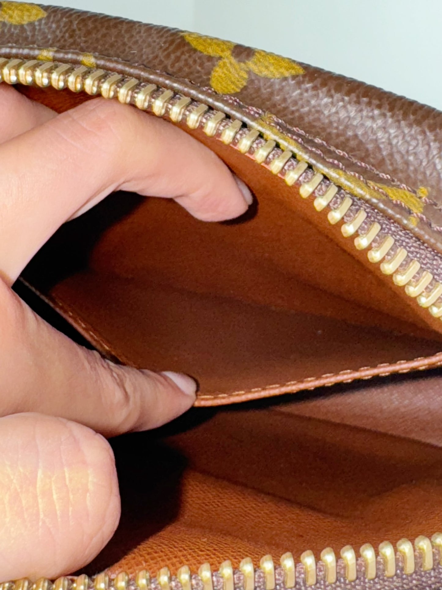 Louis Vuitton Vintage Amazon Crossbody Bag
