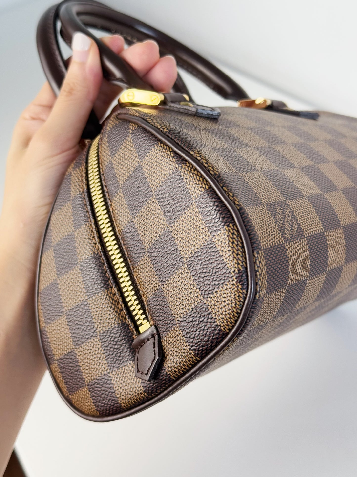 Louis Vuitton Vintage Damier Ribera Handbag Crossbody Bag