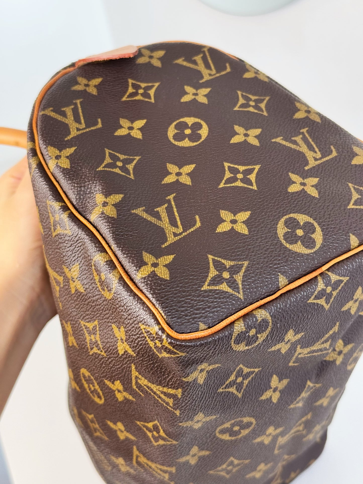 Louis Vuitton Vintage Speedy 25 Handbag Crossbody Bag