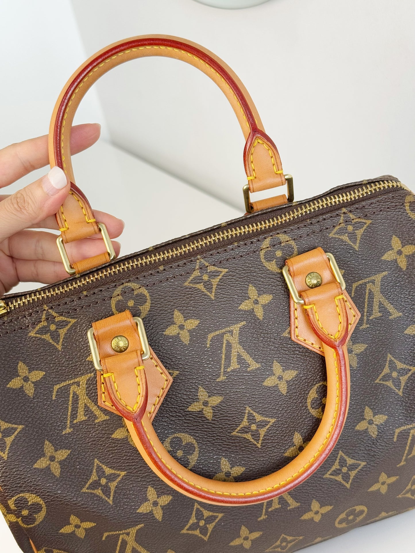 Louis Vuitton Vintage Speedy 25 Handbag Crossbody Bag