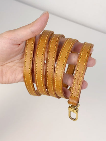 Louis Vuitton Vintage Mini Speedy Handbag Crossbody Bag