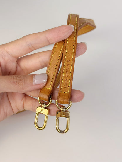 Louis Vuitton Vintage Mini Speedy Handbag Crossbody Bag