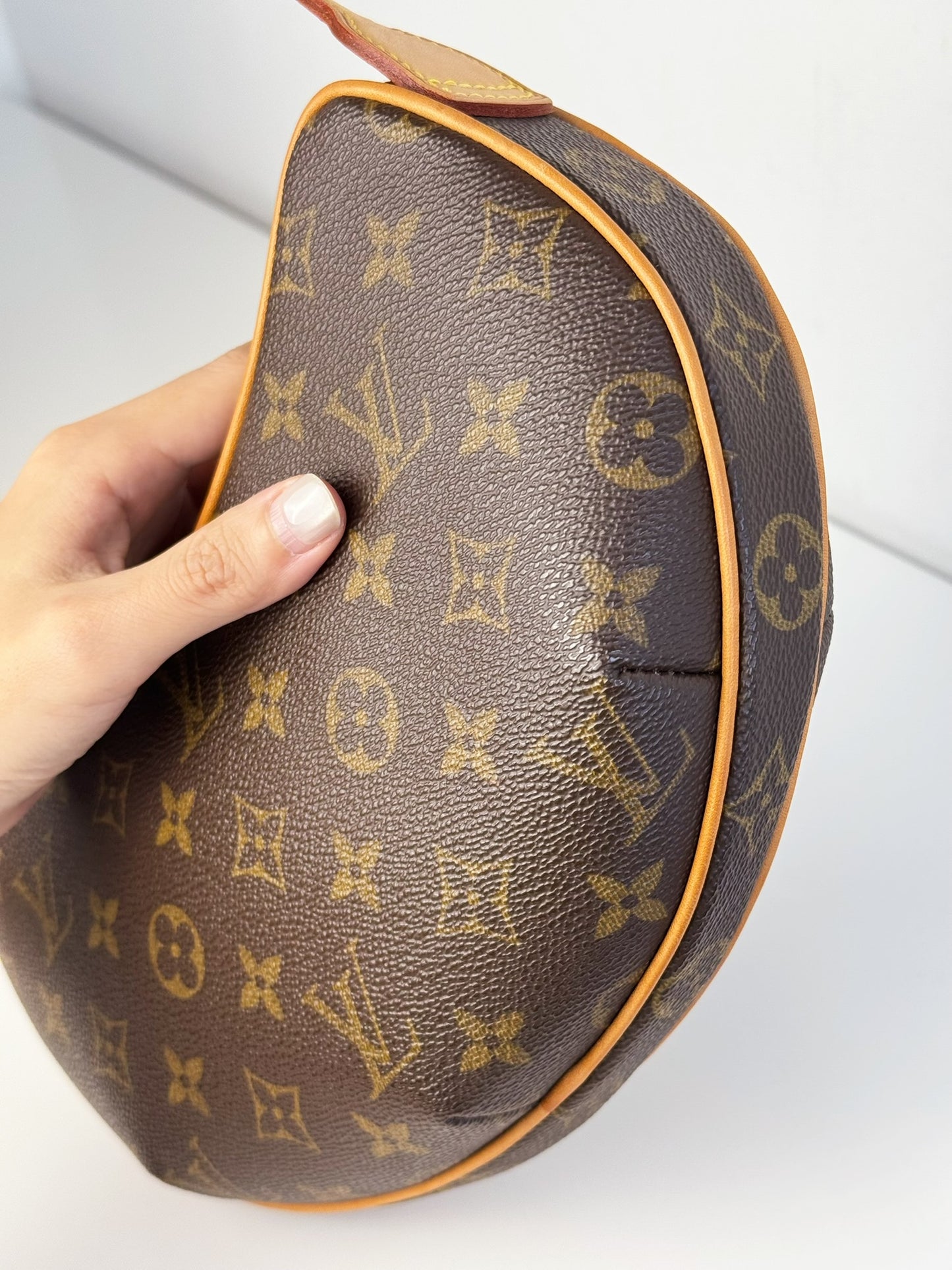 Louis Vuitton Vintage Croissant PM Shoulder Bag