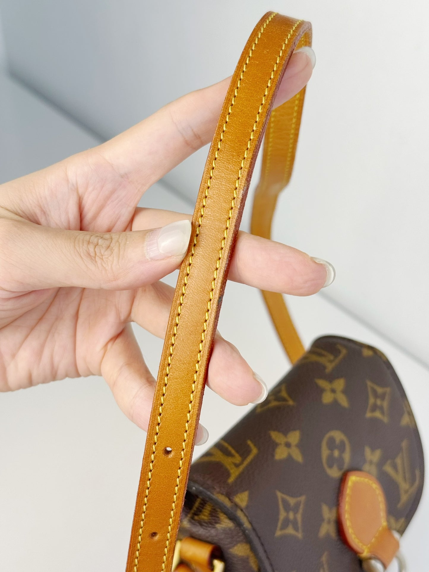 Louis Vuitton Vintage Mini Saint Cloud Crossbody Bag