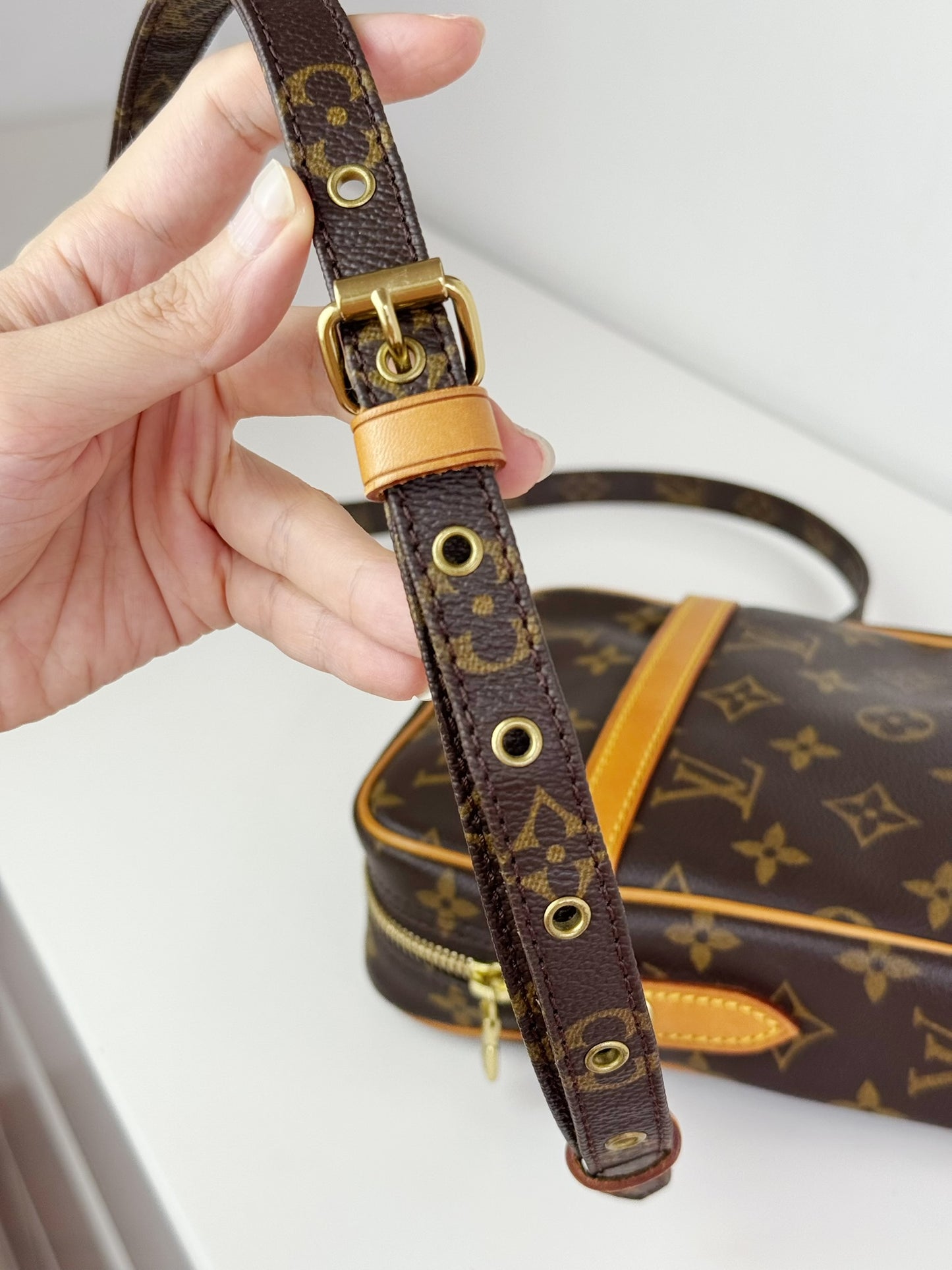 Louis Vuitton Vintage Danube Crossbody Bag