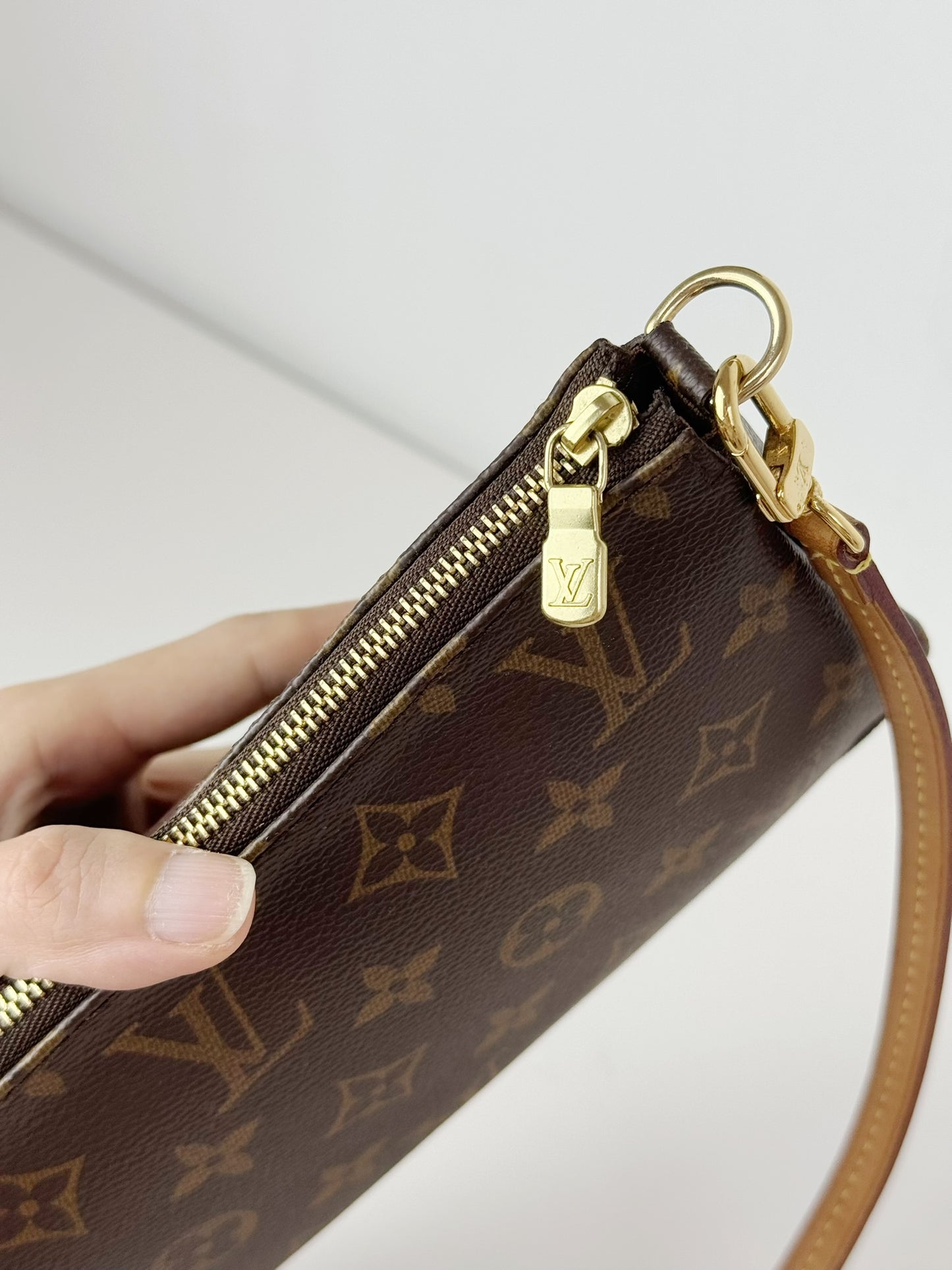 Louis Vuitton Pochette Accessoires Shoulder Crossbody Bag