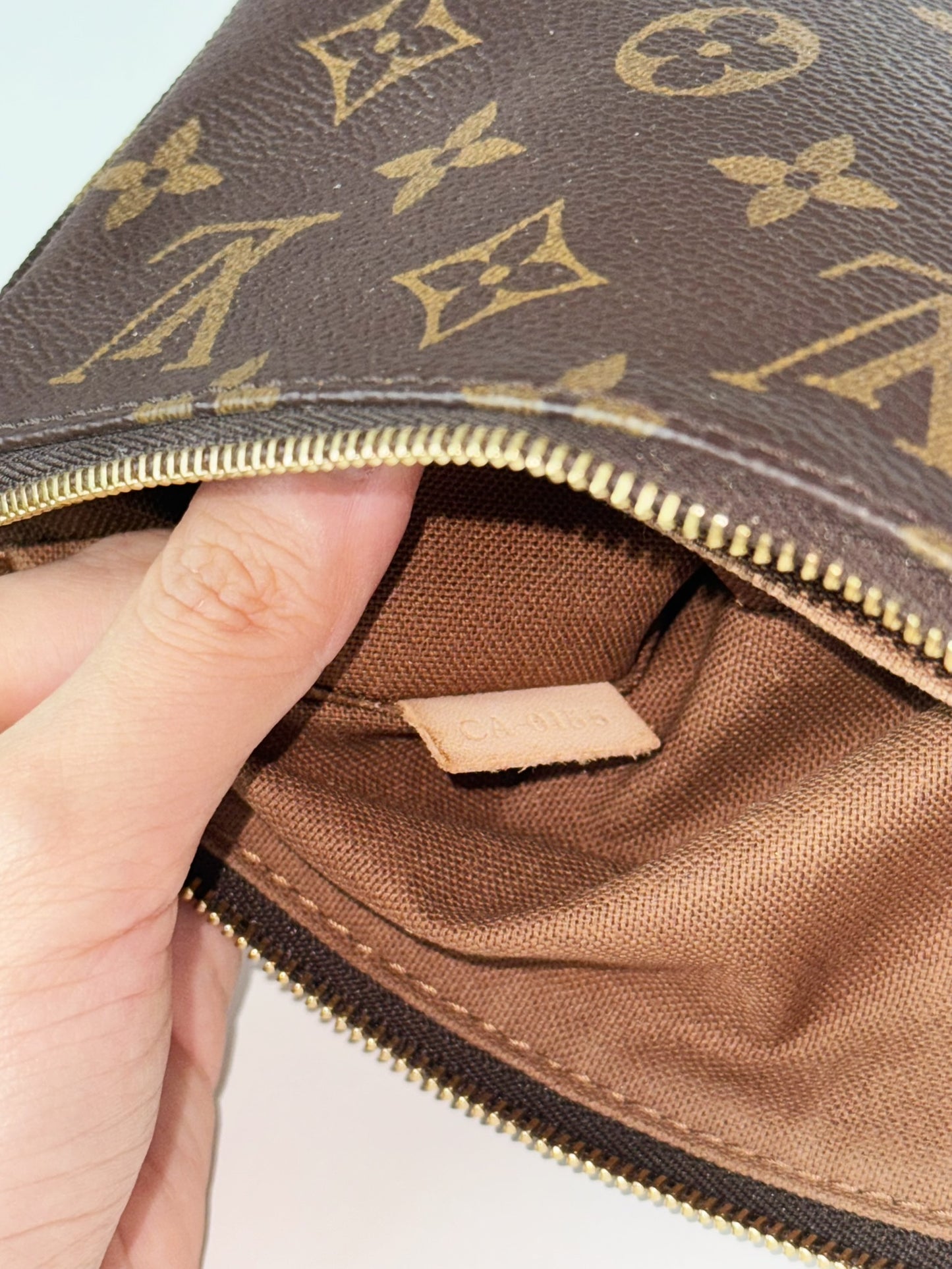 Louis Vuitton Pochette Accessoires Shoulder Crossbody Bag