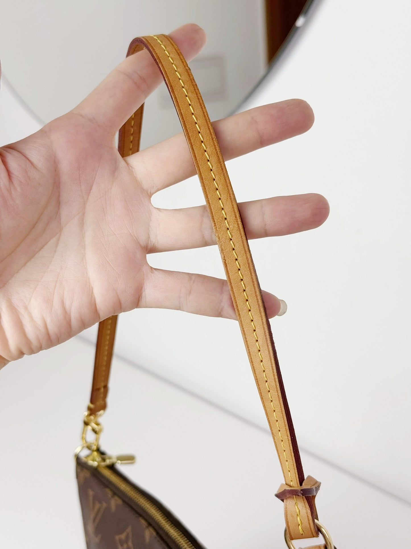 Louis Vuitton Pochette Accessoires Shoulder Crossbody Bag