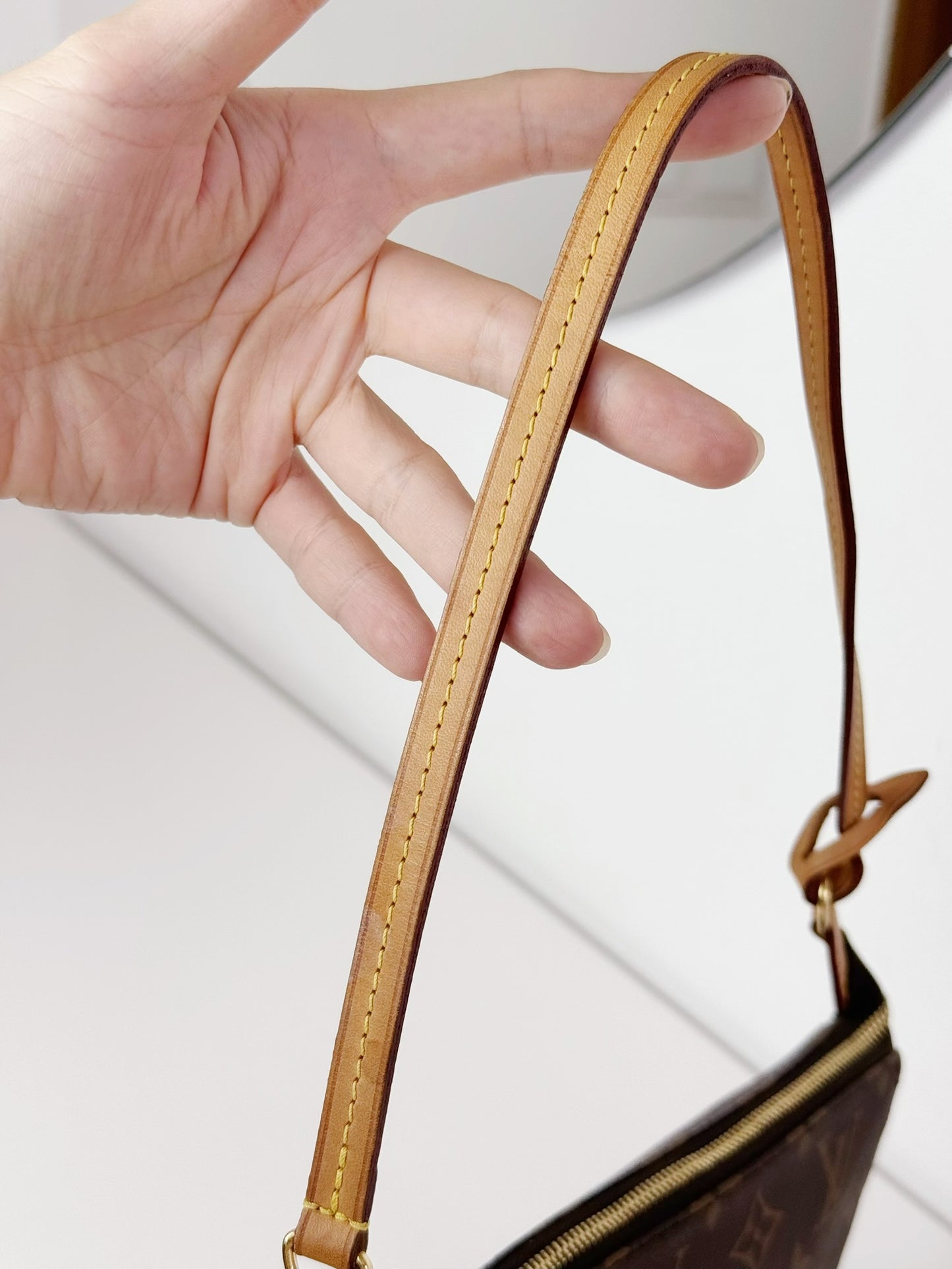 Louis Vuitton Pochette Accessoires Shoulder Crossbody Bag