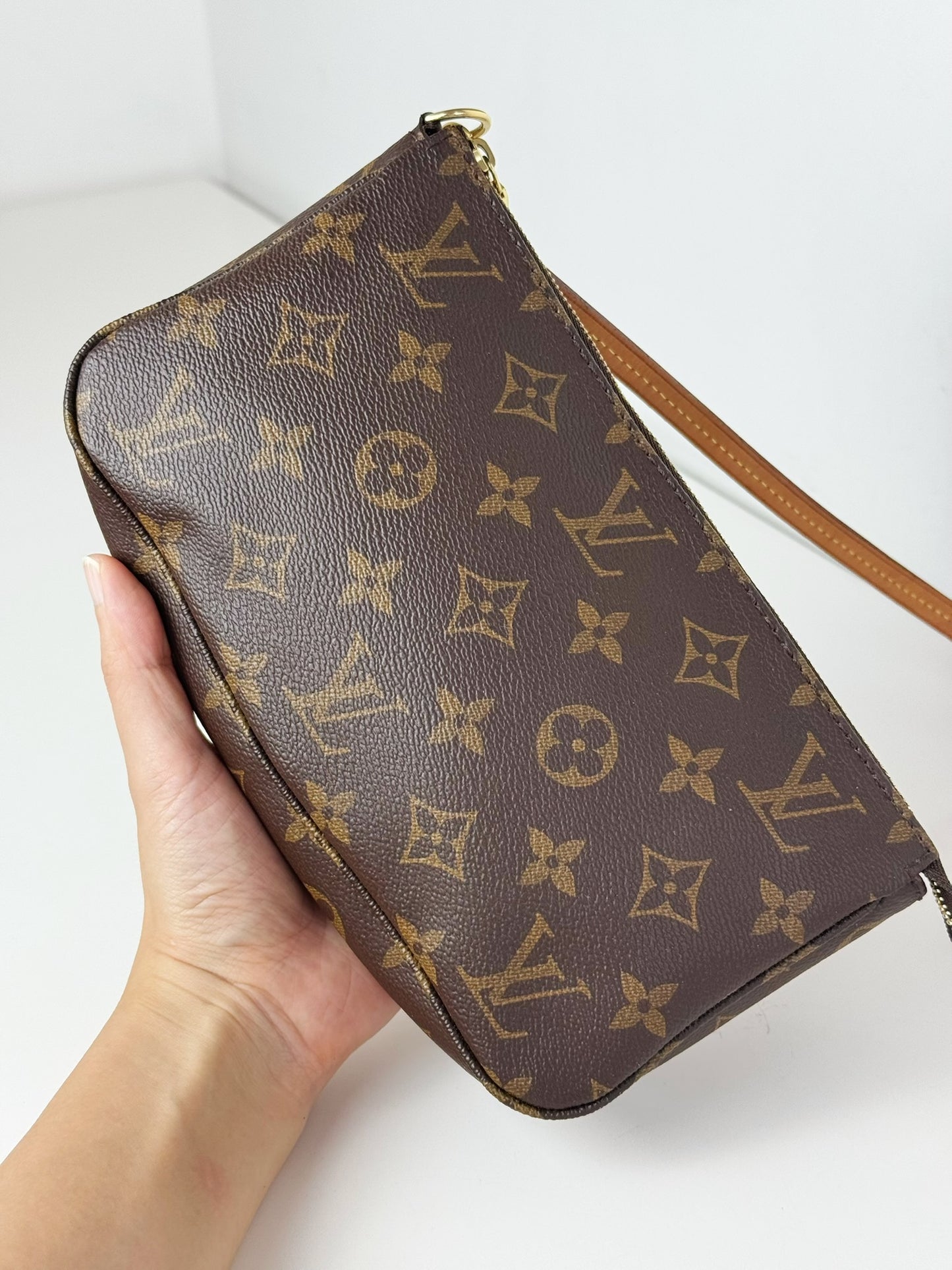 Louis Vuitton Pochette Accessoires Shoulder Crossbody Bag