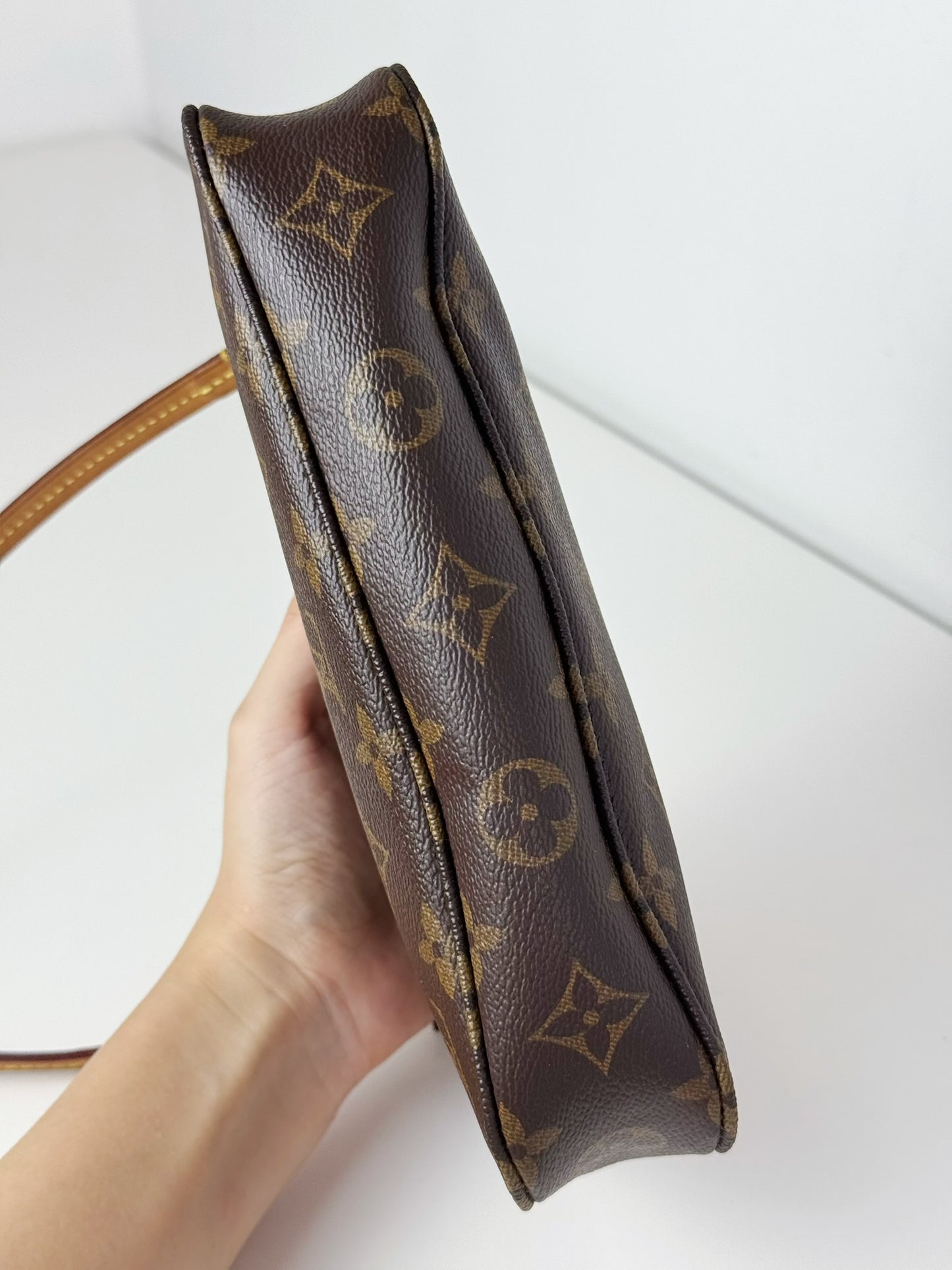 Louis Vuitton Pochette Accessoires Shoulder Crossbody Bag
