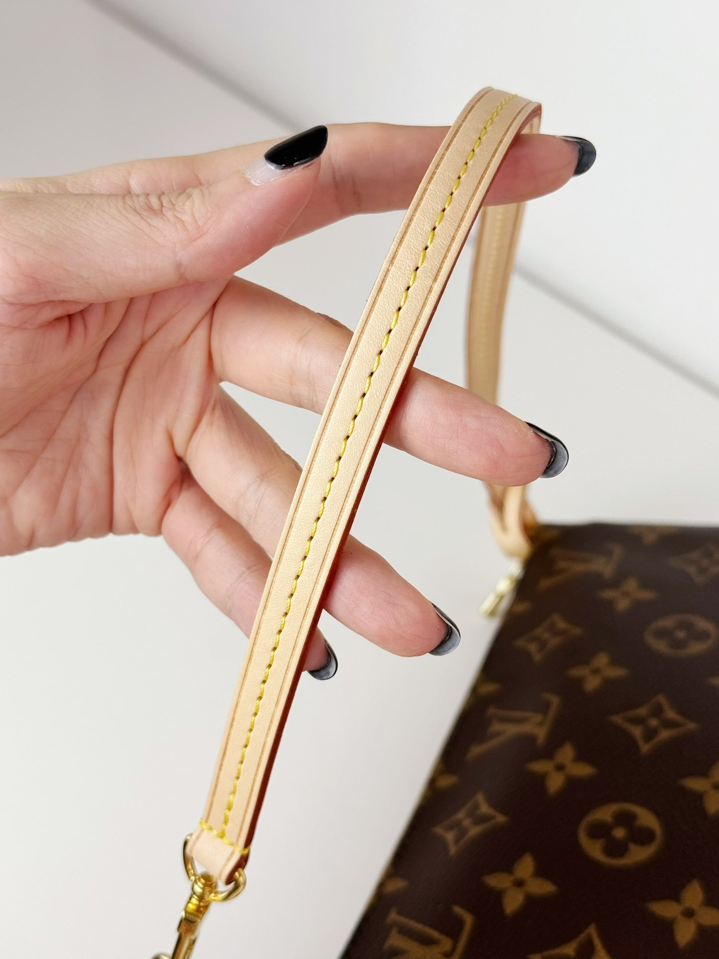 Louis Vuitton Pochette Accessoires Shoulder Crossbody Bag (RFID)