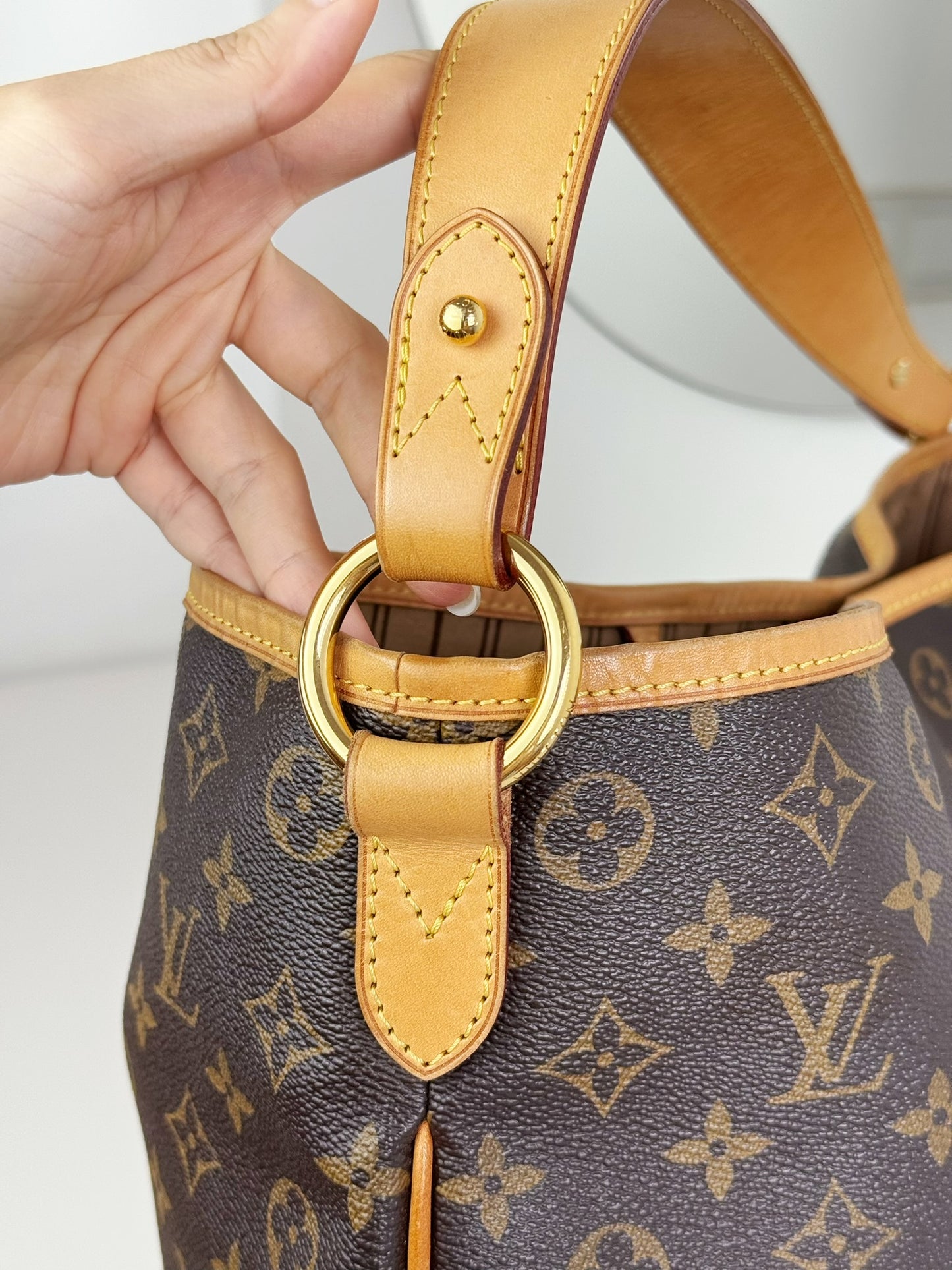 Louis Vuitton Vintage Delightful PM Tote Crossbody Bag
