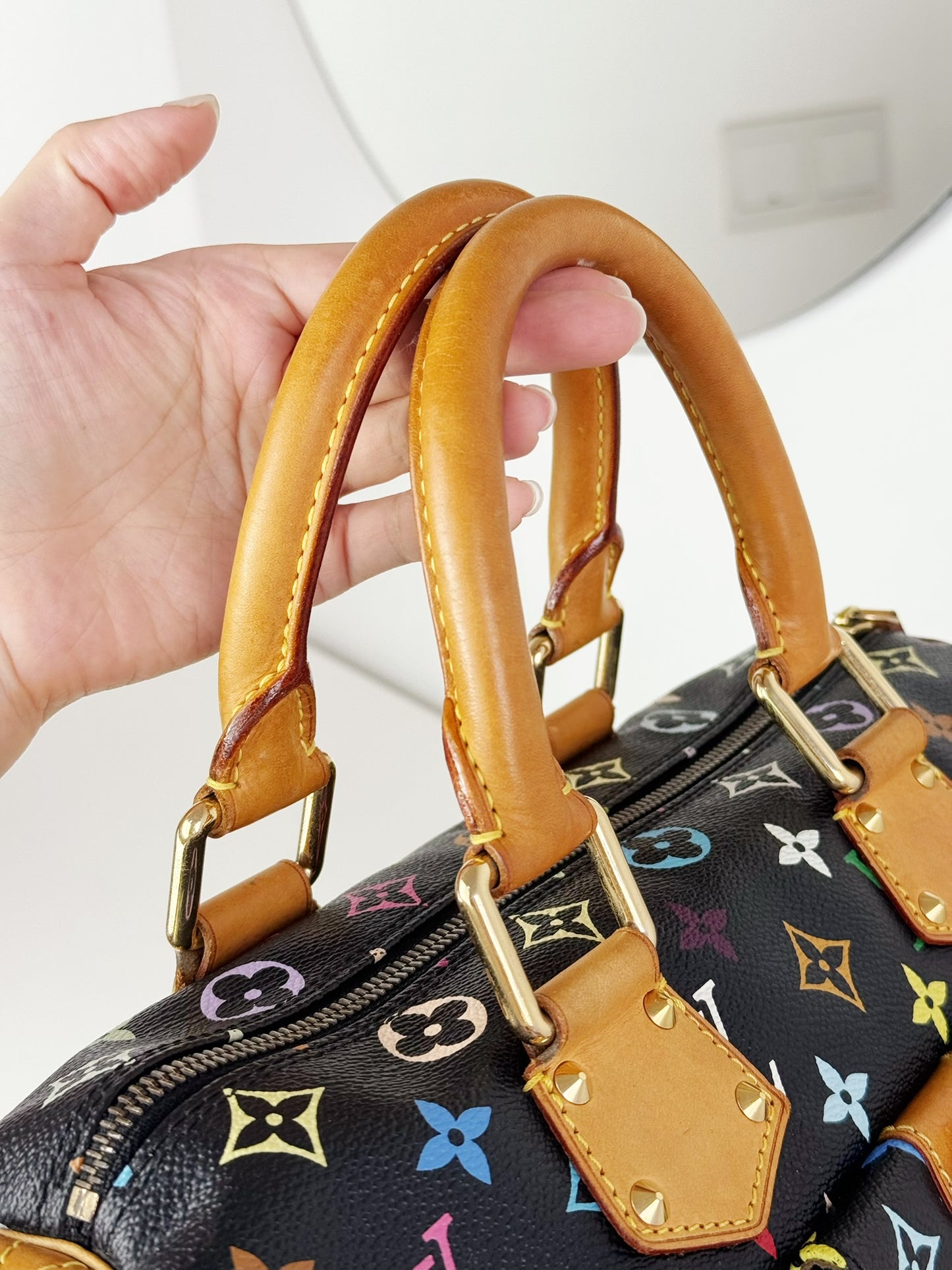 Louis Vuitton Vintage Takashi Murakami Multicolor Speedy 30 Handbag Crossbody Bag