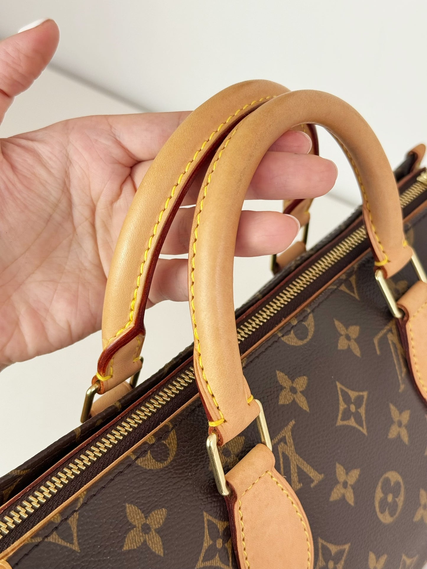 Louis Vuitton Vintage Popincourt Handbag Crossbody Bag
