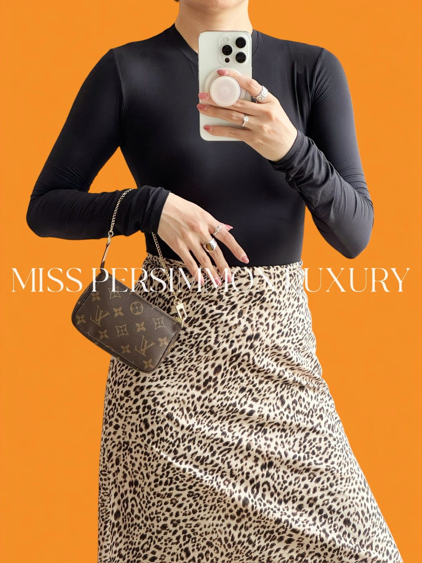 Louis Vuitton Vintage Mini Pochette Accessoires Shoulder Crossbody Bag