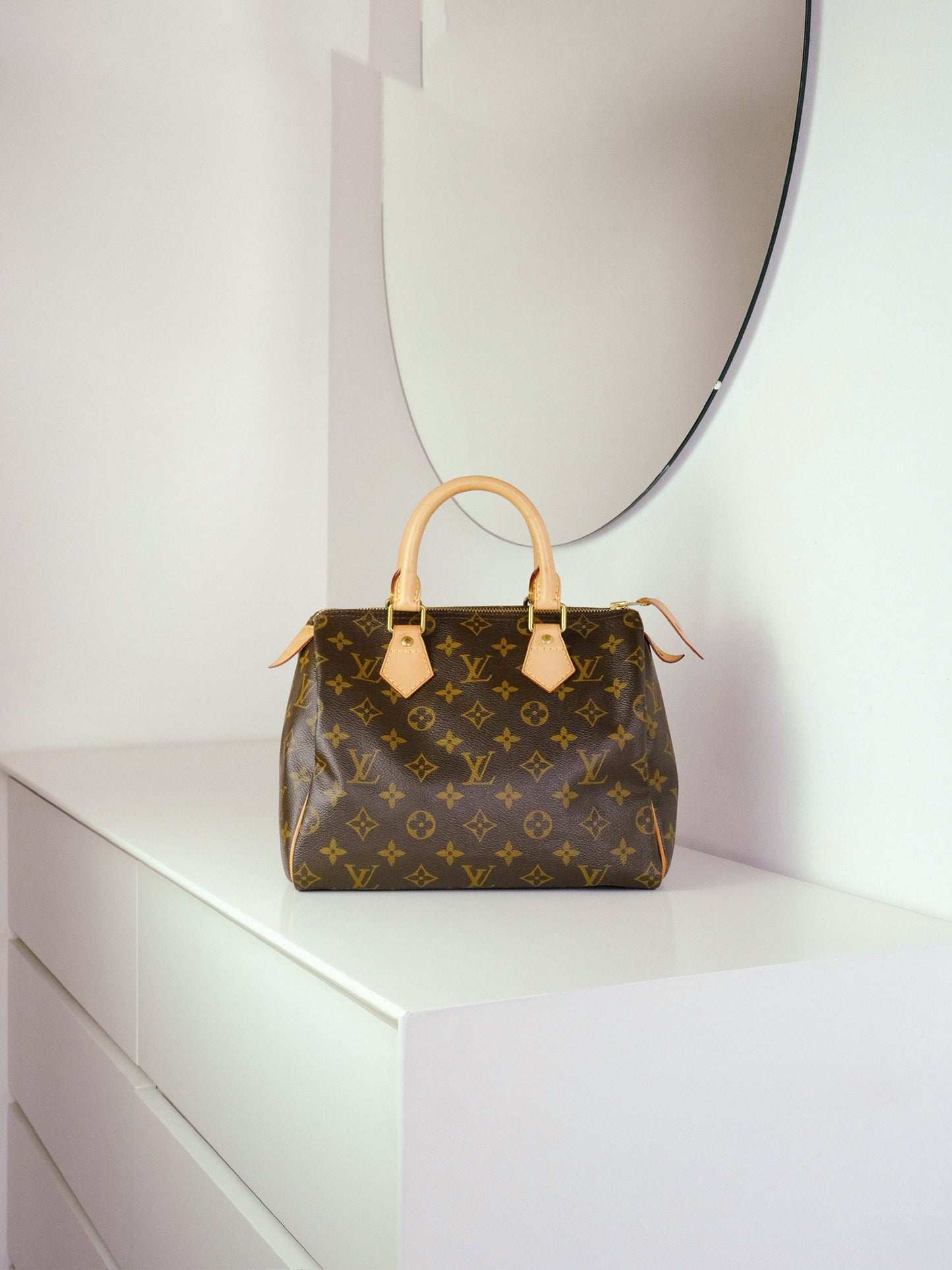 Louis Vuitton Vintage Speedy 25 Handbag Crossbody Bag