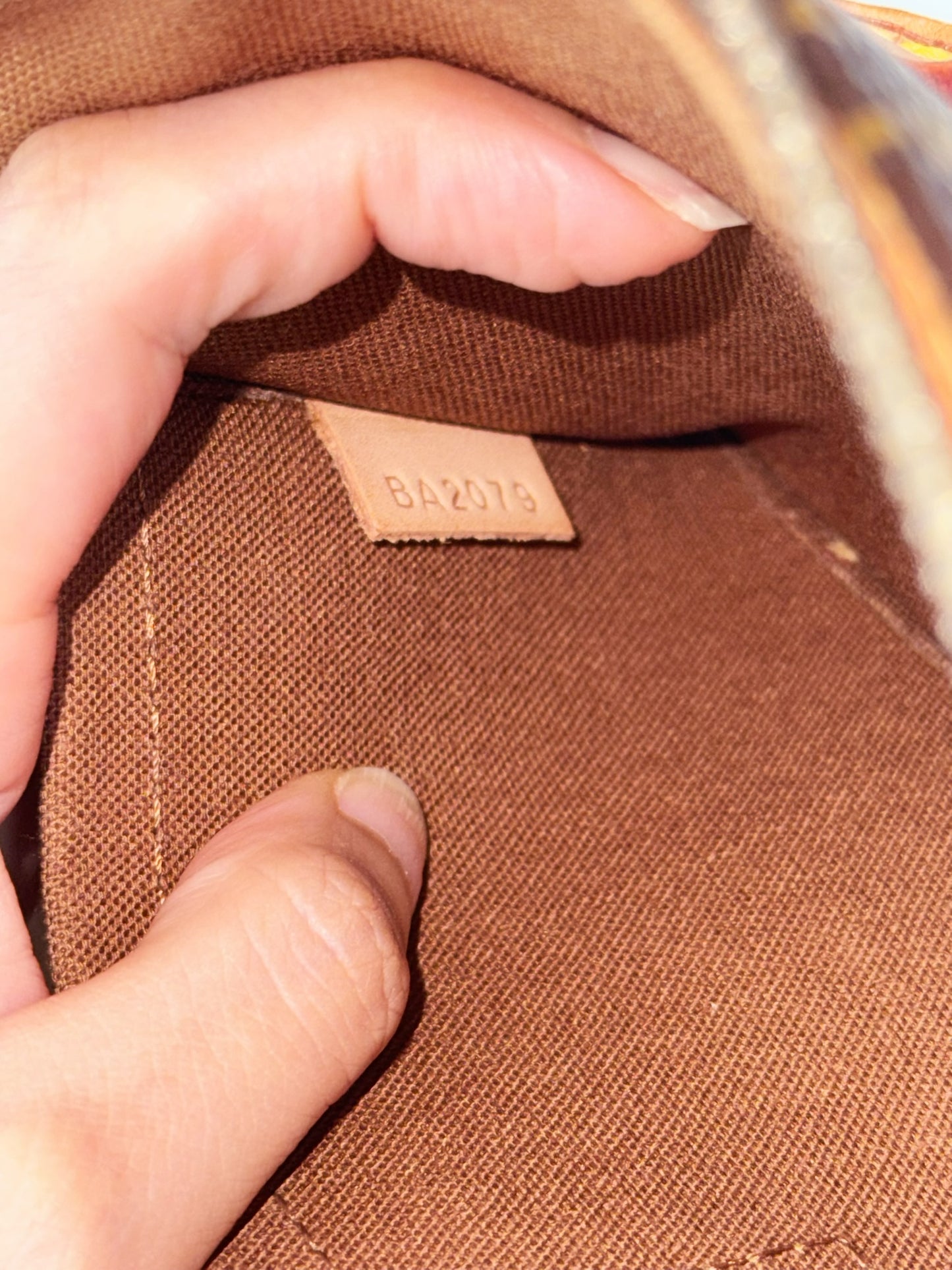 Louis Vuitton Vintage Popincourt Handbag Crossbody Bag