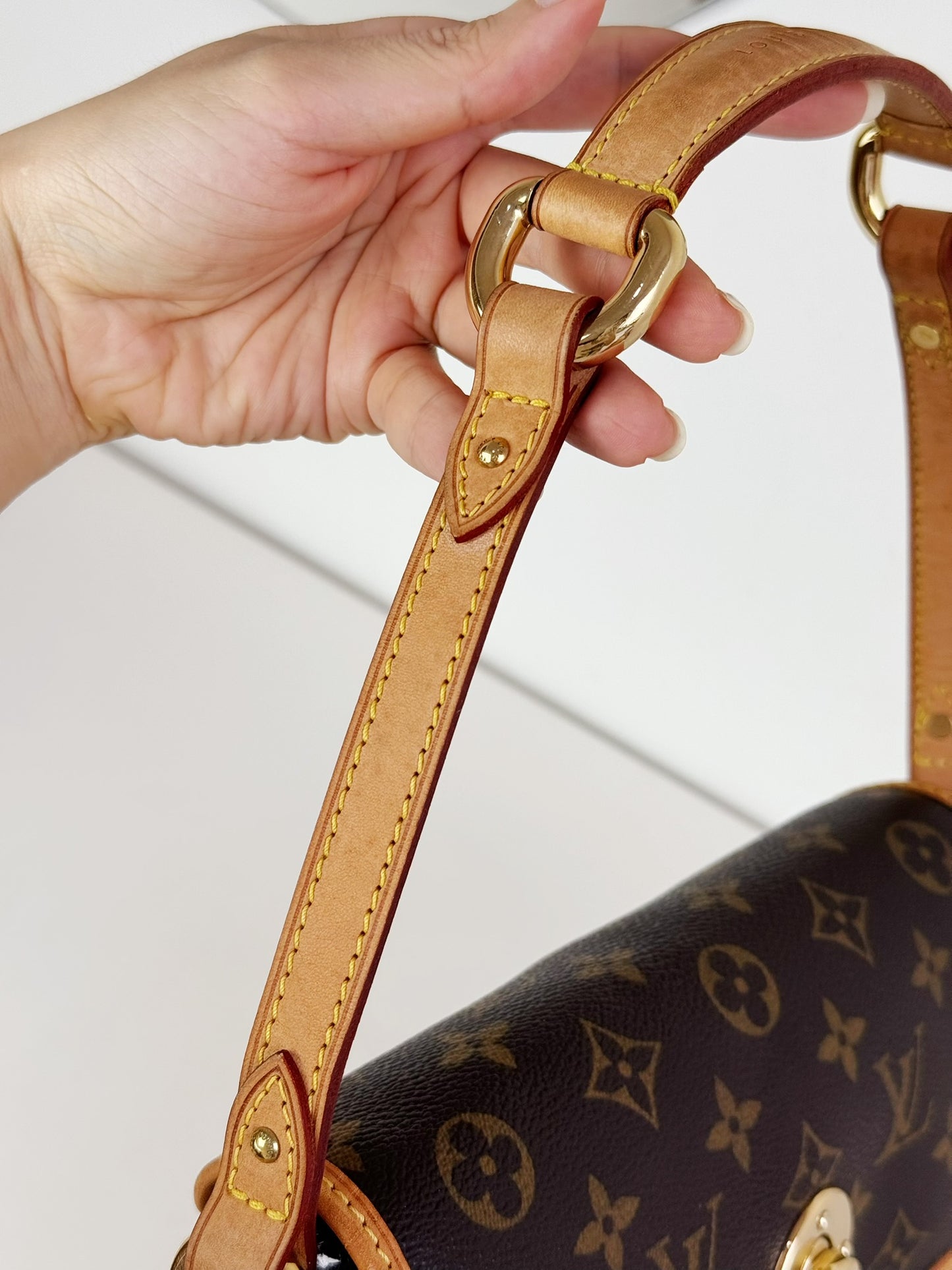 Louis Vuitton Vintage Tikal PM Shoulder Bag