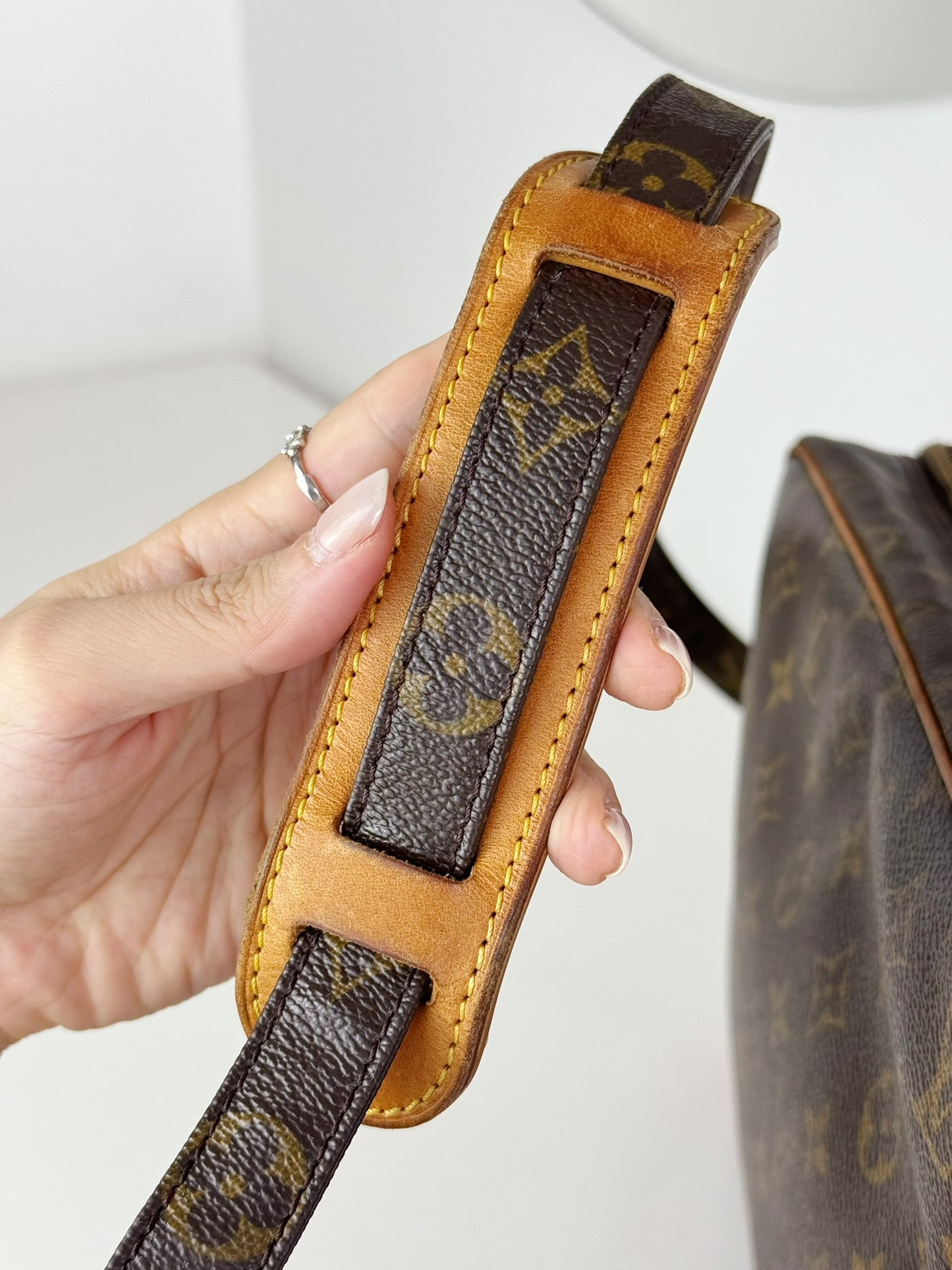 Louis Vuitton Vintage Nile Crossbody Bag