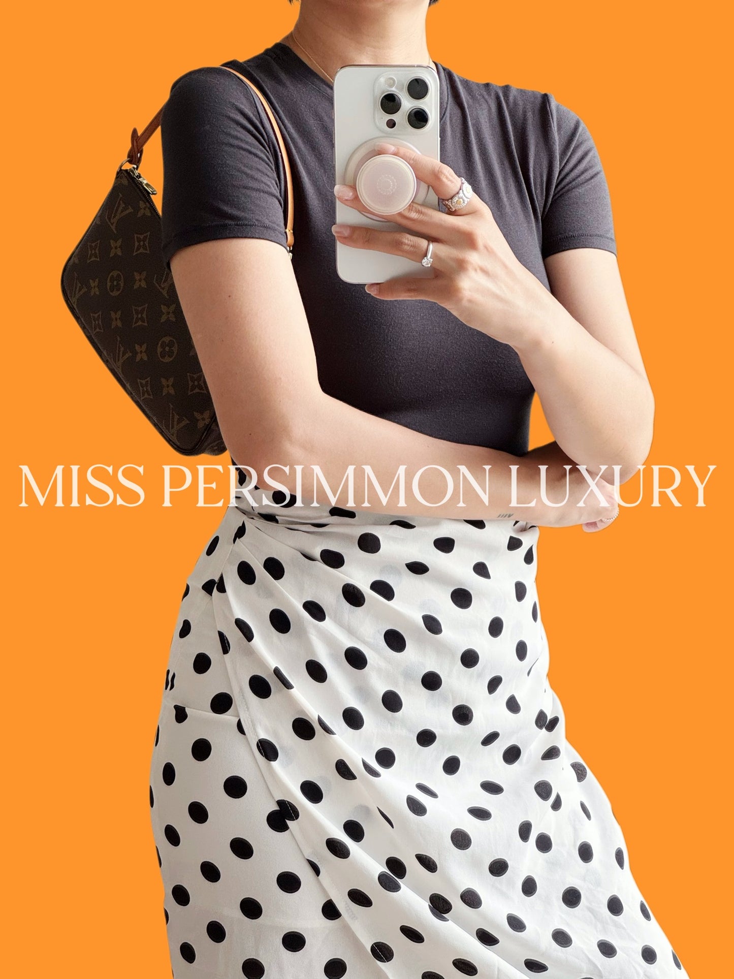 Louis Vuitton Vintage Pochette Accessoires Shoulder Crossbody Bag