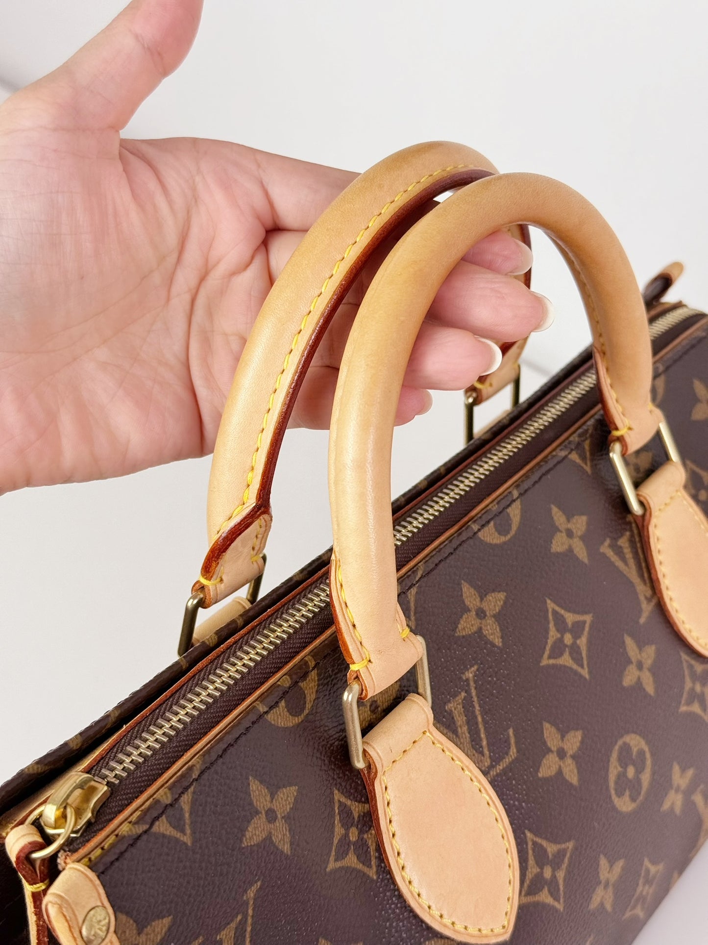 Louis Vuitton Vintage Popincourt Handbag Crossbody Bag