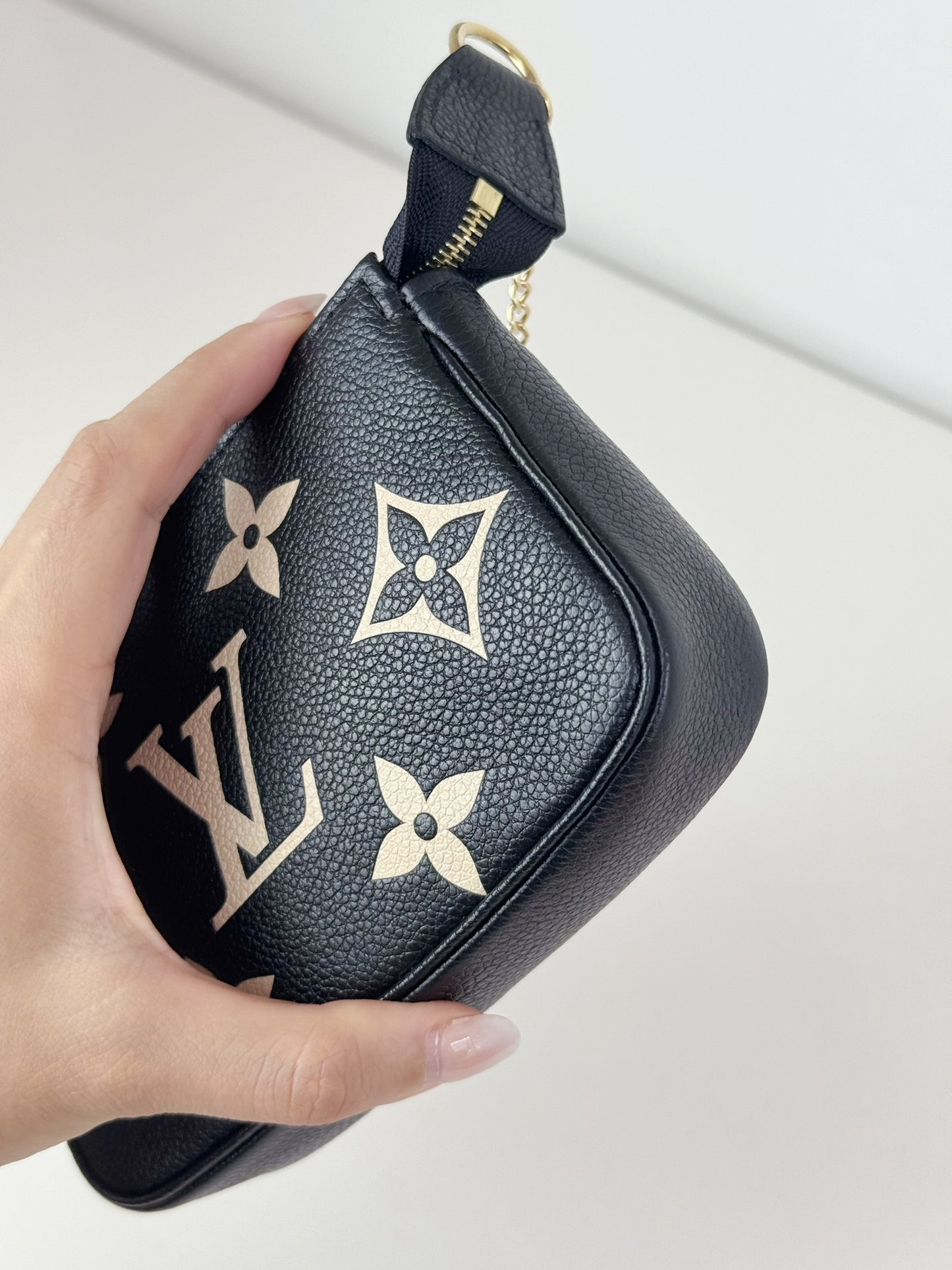Louis Vuitton Vintage Biocolour Mini Pochette Accessoires Shoulder Crossbody Bag (RFID)