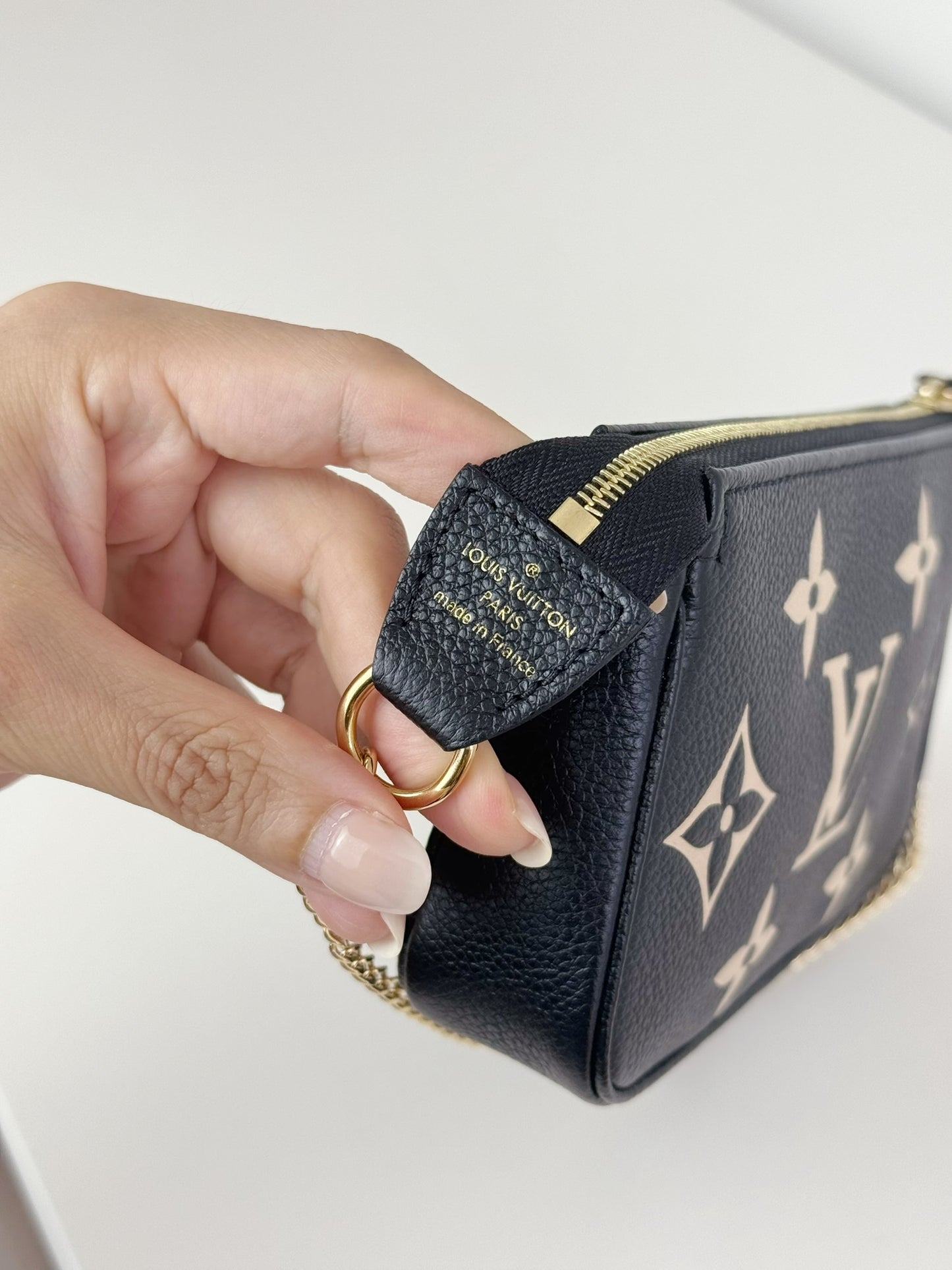 Louis Vuitton Vintage Biocolour Mini Pochette Accessoires Shoulder Crossbody Bag (RFID)