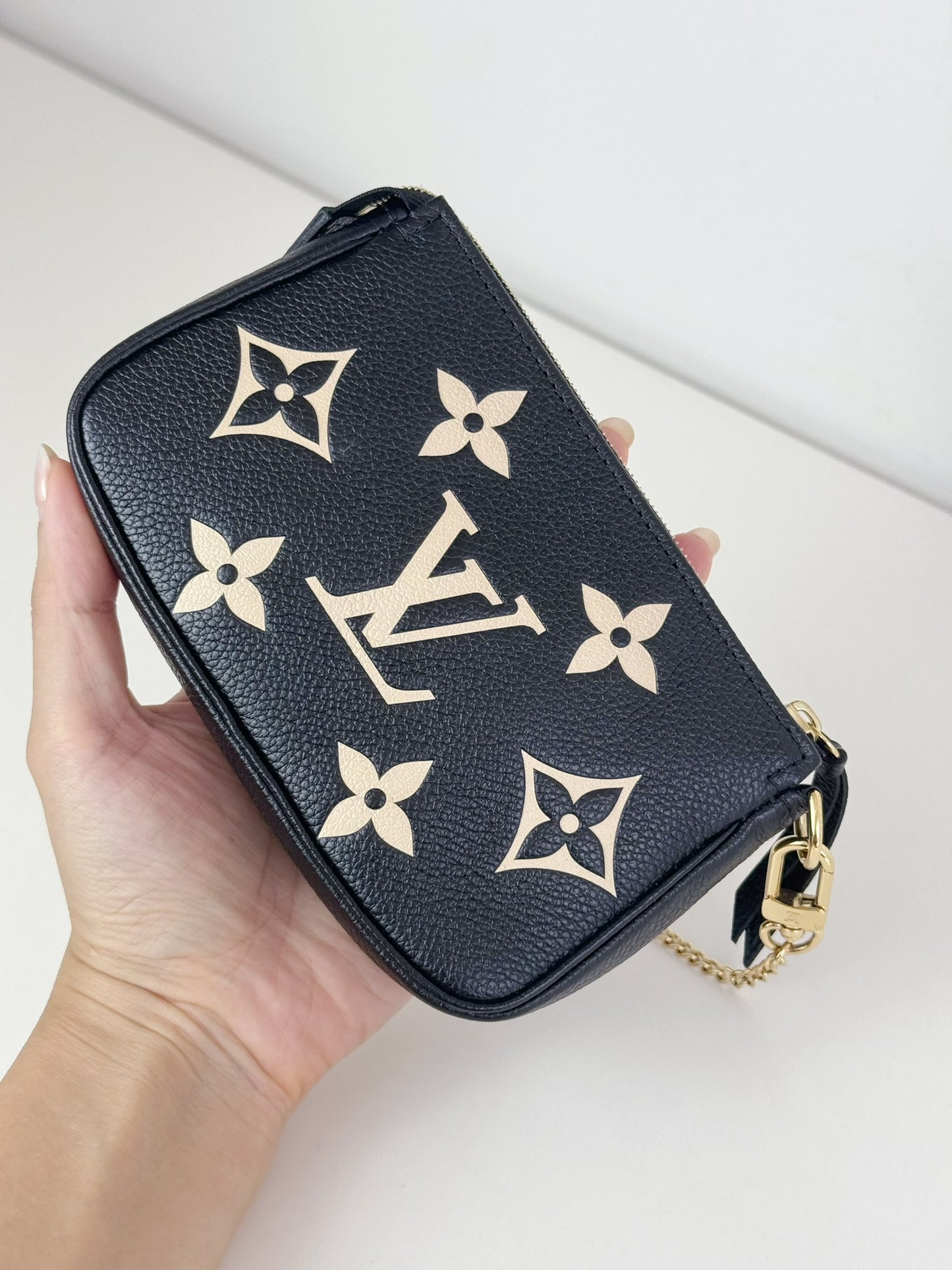 Louis Vuitton Vintage Biocolour Mini Pochette Accessoires Shoulder Crossbody Bag (RFID)