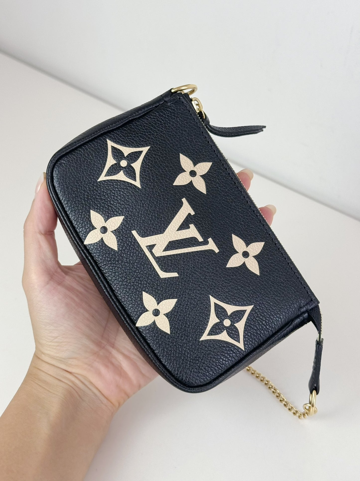 Louis Vuitton Vintage Biocolour Mini Pochette Accessoires Shoulder Crossbody Bag (RFID)